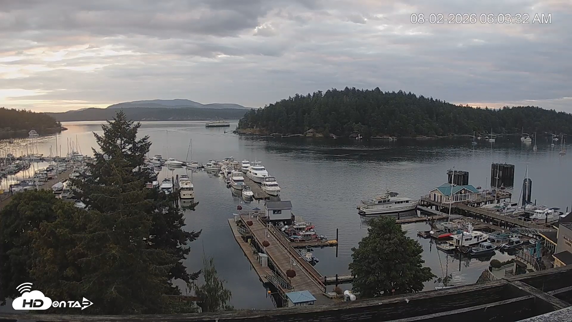 Snapshot of Friday Harbor - San Juan Island Live Webcam taken Aug 2, 2026, 6:04am PDT
