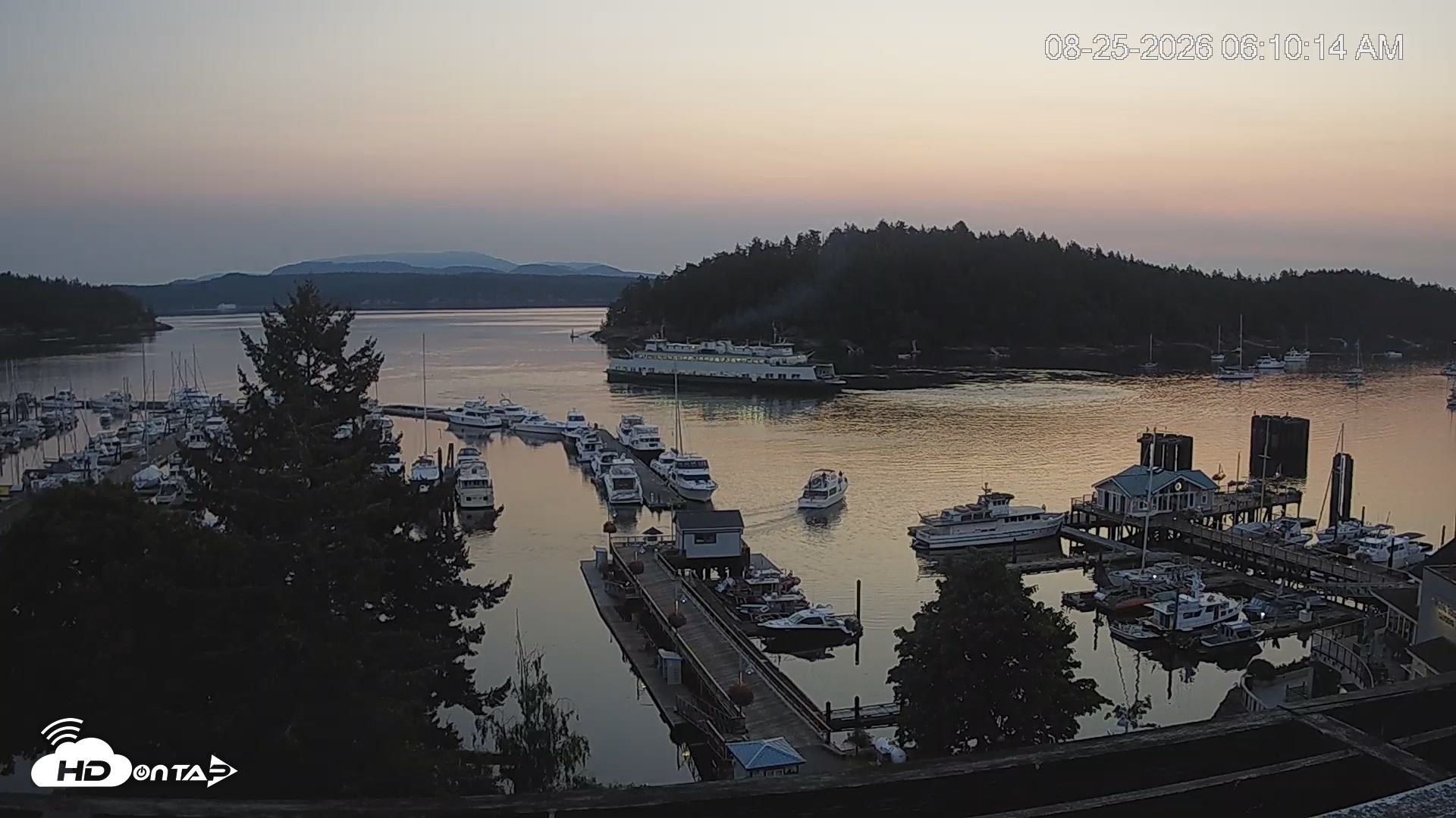 Snapshot of Friday Harbor - San Juan Island Live Webcam taken Aug 25, 2026, 6:11am PDT
