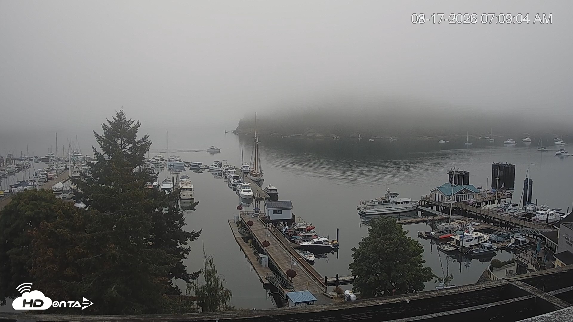 Snapshot of Friday Harbor - San Juan Island Live Webcam taken Aug 17, 2026, 7:10am PDT