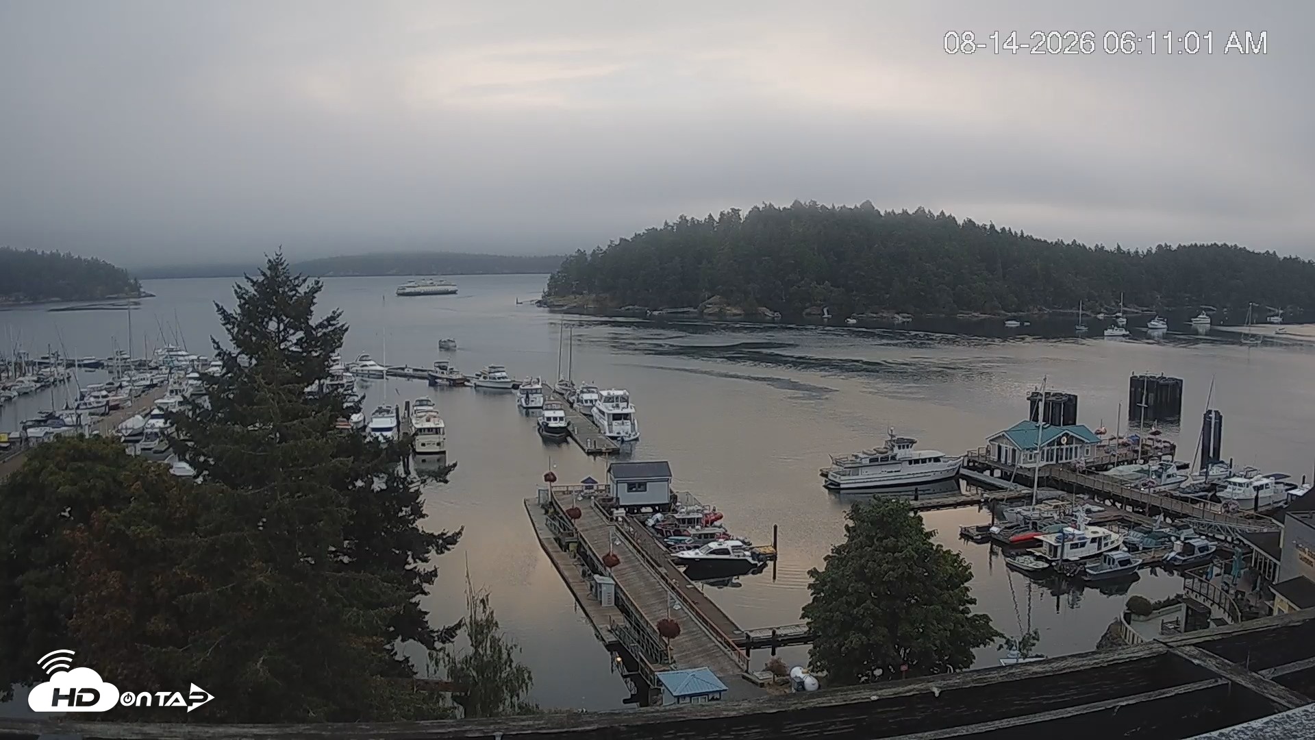 Snapshot of Friday Harbor - San Juan Island Live Webcam taken Aug 14, 2026, 6:15am PDT