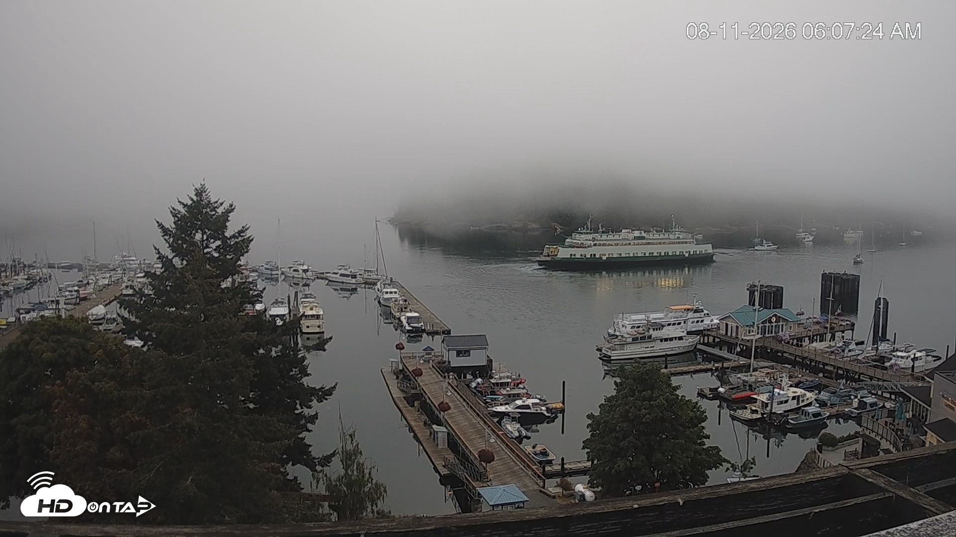 Snapshot of Friday Harbor - San Juan Island Live Webcam taken Aug 11, 2026, 6:08am PDT