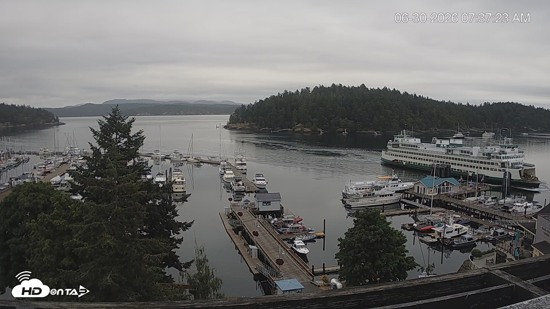 Snapshot of Friday Harbor - San Juan Island Live Webcam taken Jun 30, 2026, 7:38am PDT
