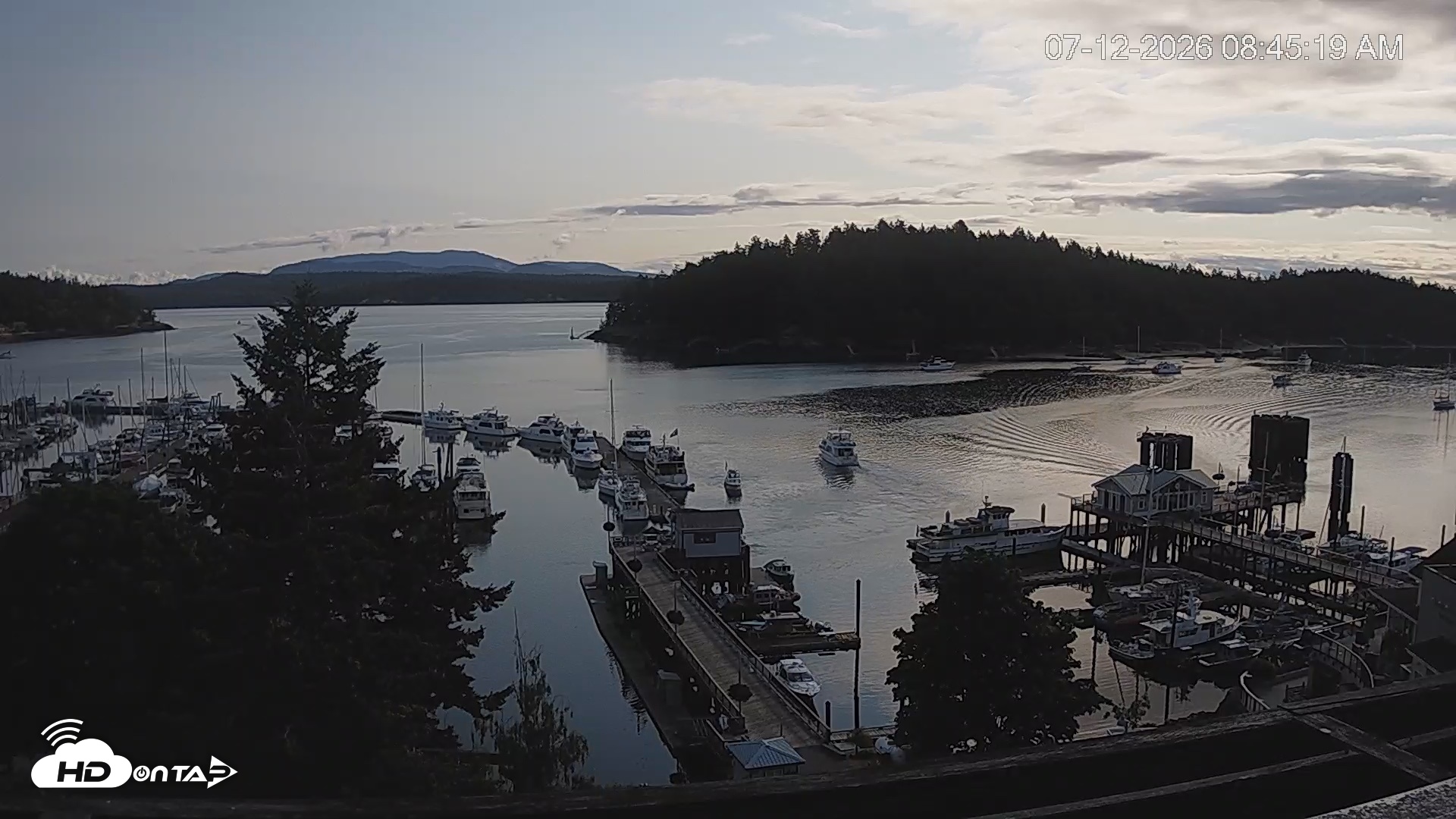 Snapshot of Friday Harbor - San Juan Island Live Webcam taken Jul 12, 2026, 8:46am PDT
