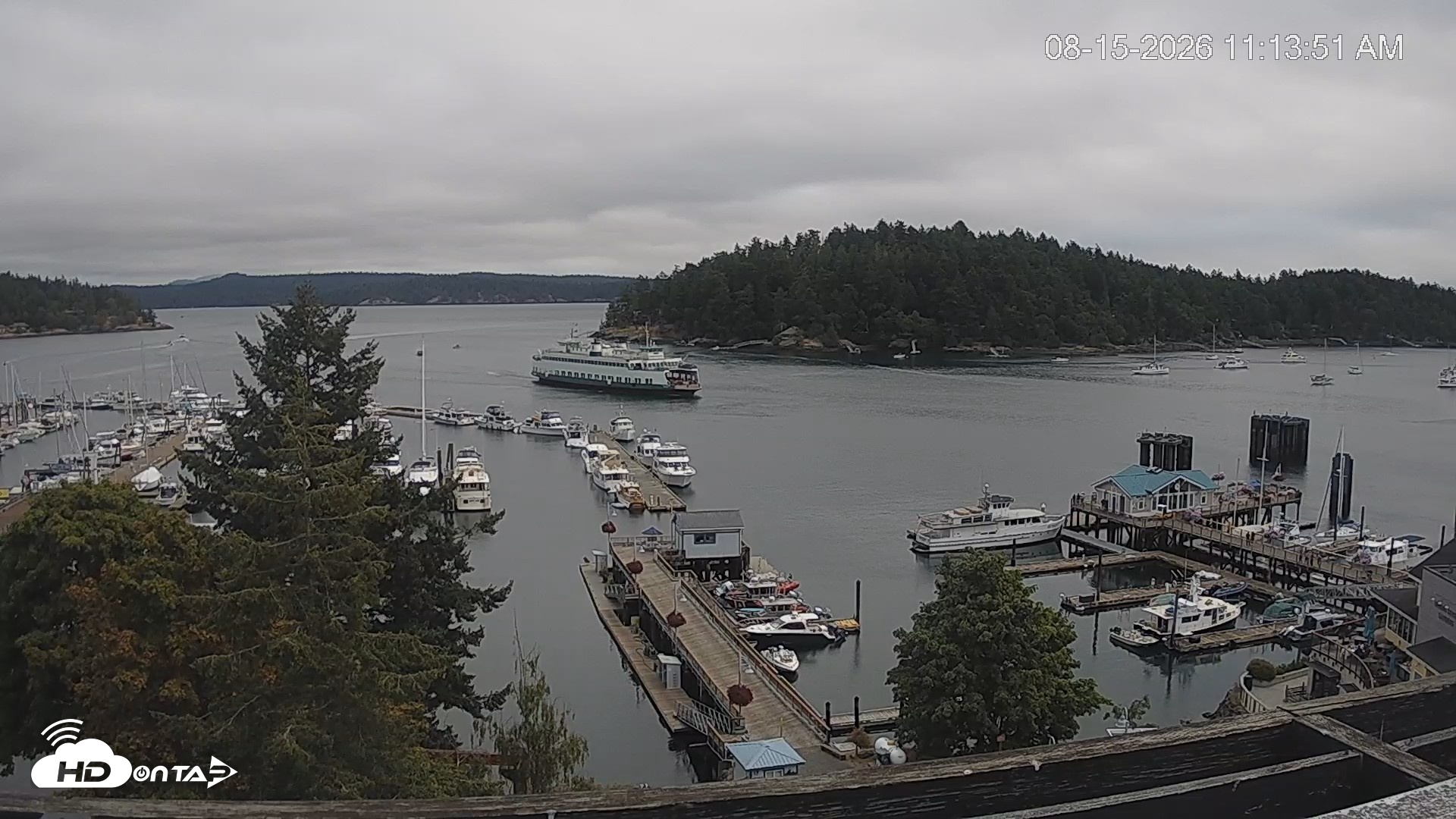 Snapshot of Friday Harbor - San Juan Island Live Webcam taken Aug 15, 2026, 11:14am PDT