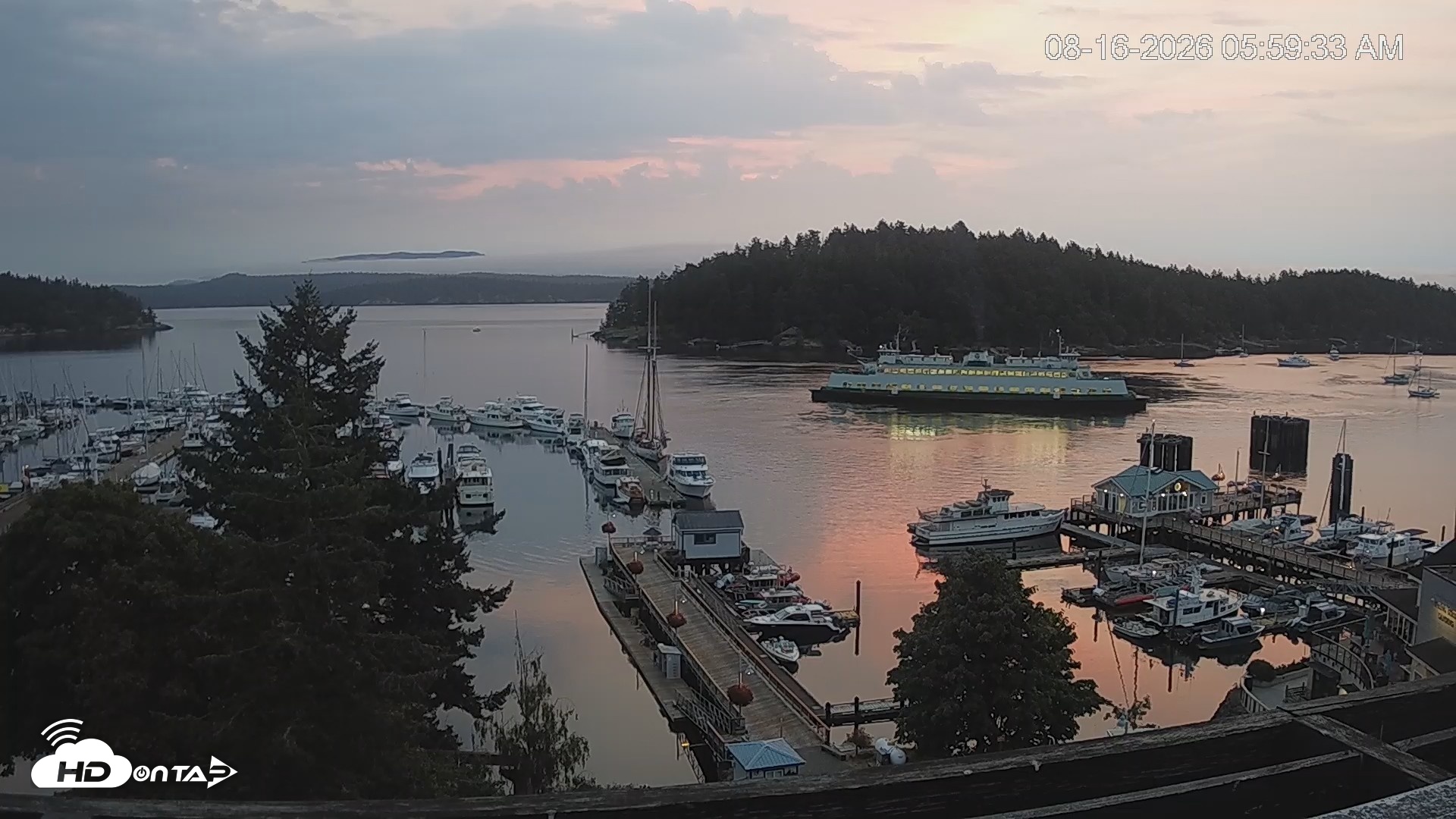 Snapshot of Friday Harbor - San Juan Island Live Webcam taken Aug 16, 2026, 6:00am PDT
