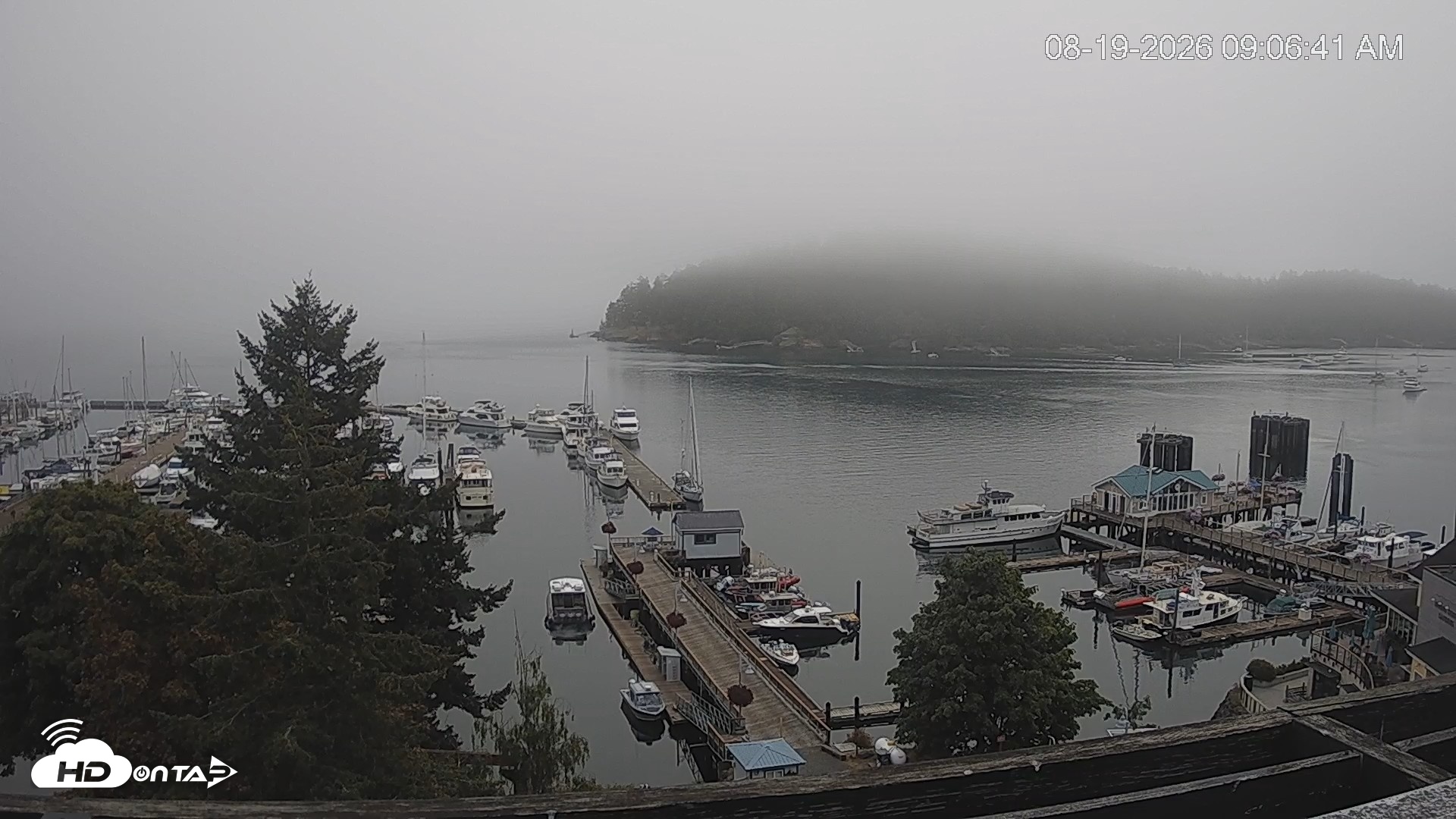 Snapshot of Friday Harbor - San Juan Island Live Webcam taken Aug 19, 2026, 9:07am PDT