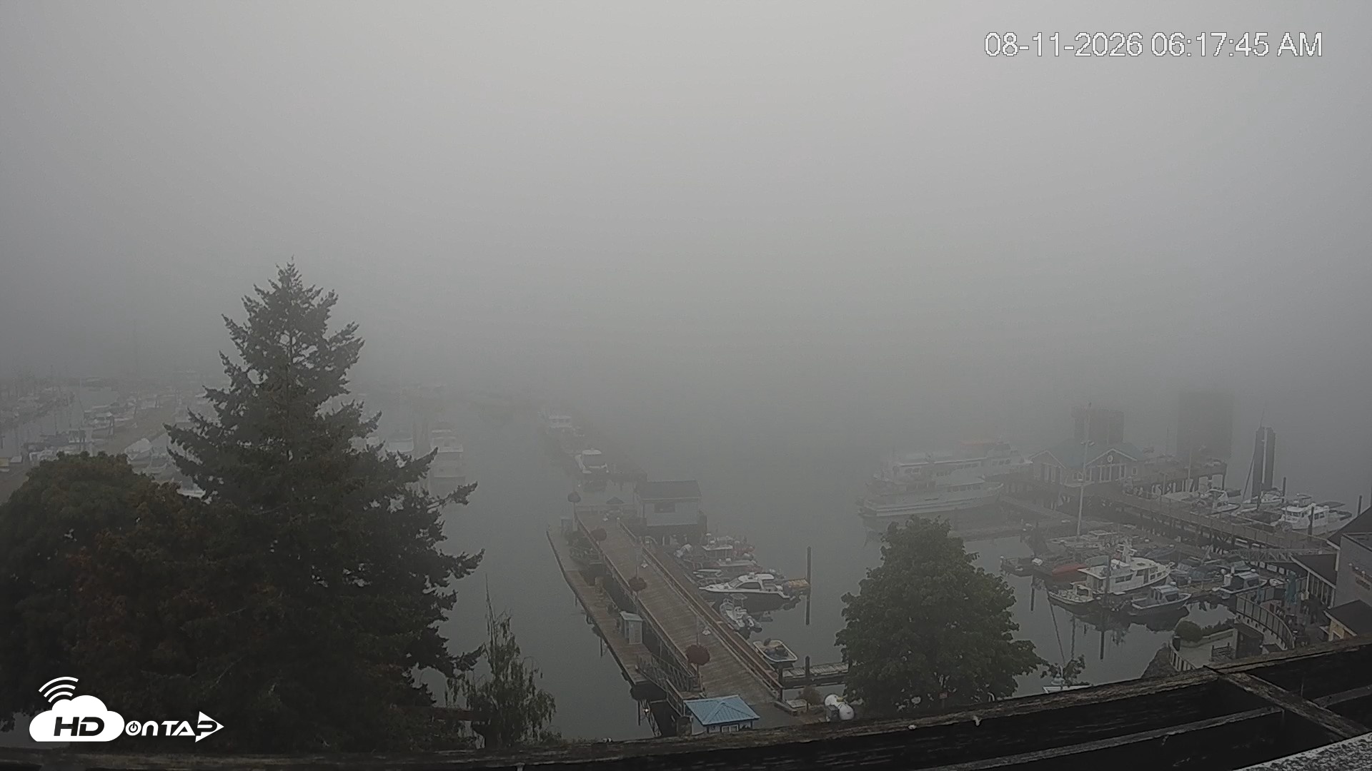 Snapshot of Friday Harbor - San Juan Island Live Webcam taken Aug 11, 2026, 6:18am PDT