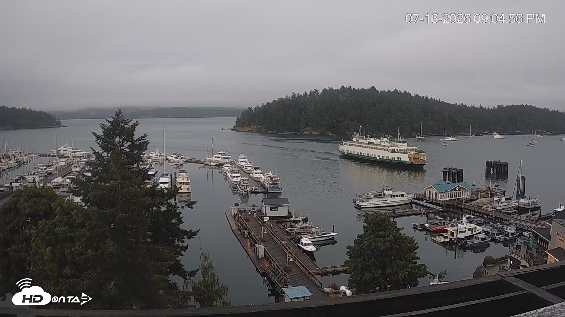 Snapshot of Friday Harbor - San Juan Island Live Webcam taken Jul 16, 2026, 9:05pm PDT