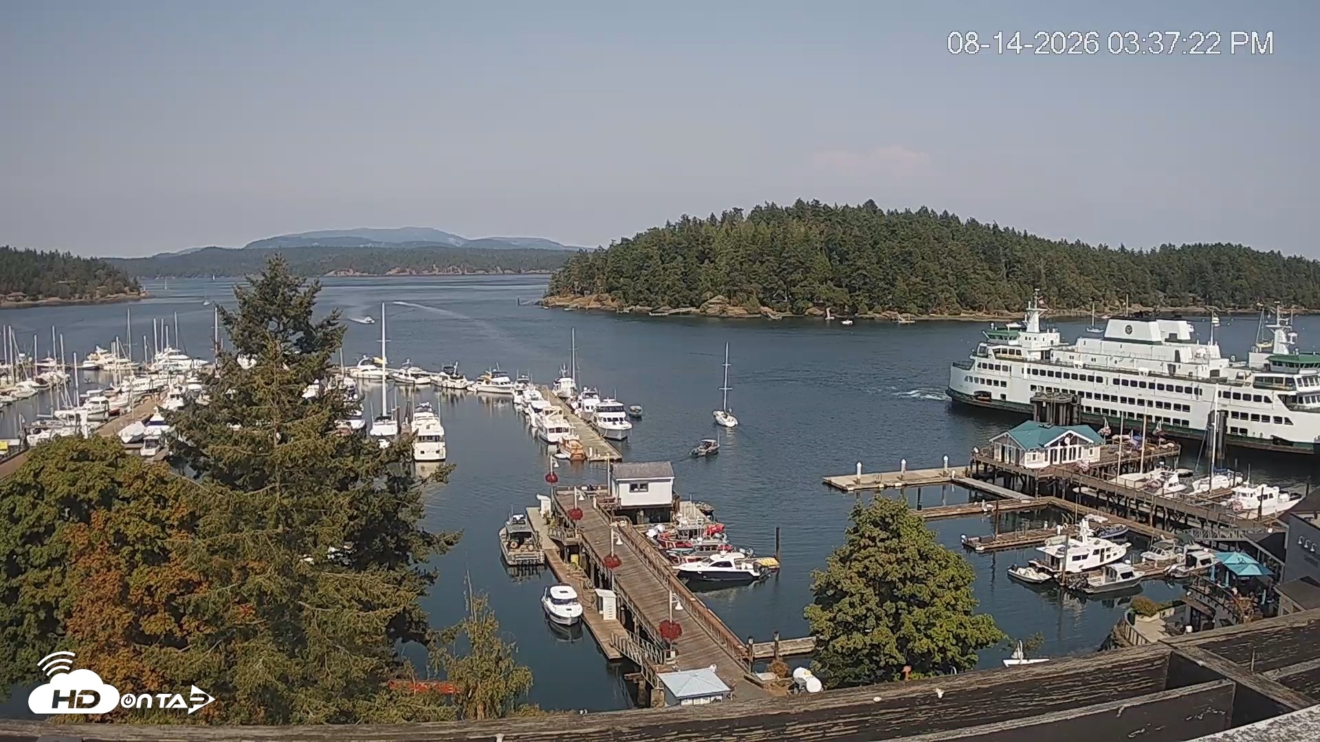 Snapshot of Friday Harbor - San Juan Island Live Webcam taken Aug 14, 2026, 3:38pm PDT