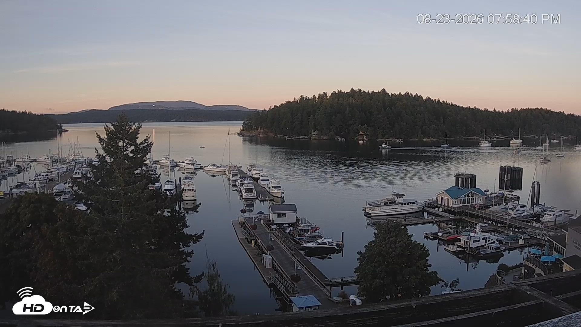 Snapshot of Friday Harbor - San Juan Island Live Webcam taken Aug 23, 2026, 7:59pm PDT