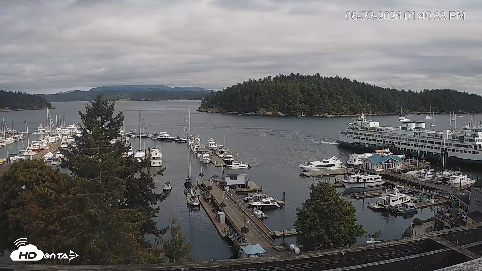 Snapshot of Friday Harbor - San Juan Island Live Webcam taken Aug 22, 2026, 1:41pm PDT