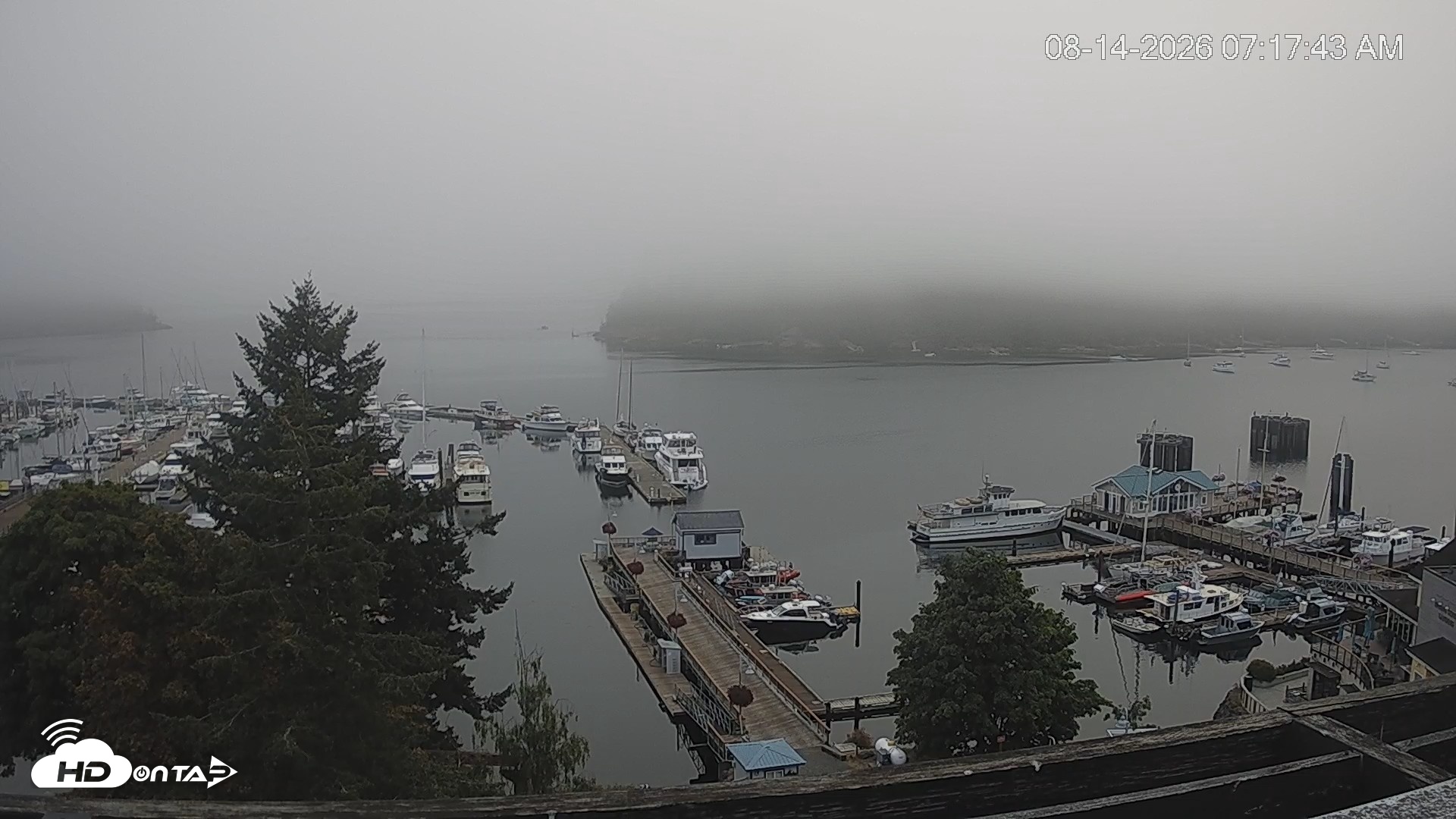 Snapshot of Friday Harbor - San Juan Island Live Webcam taken Aug 14, 2026, 7:18am PDT