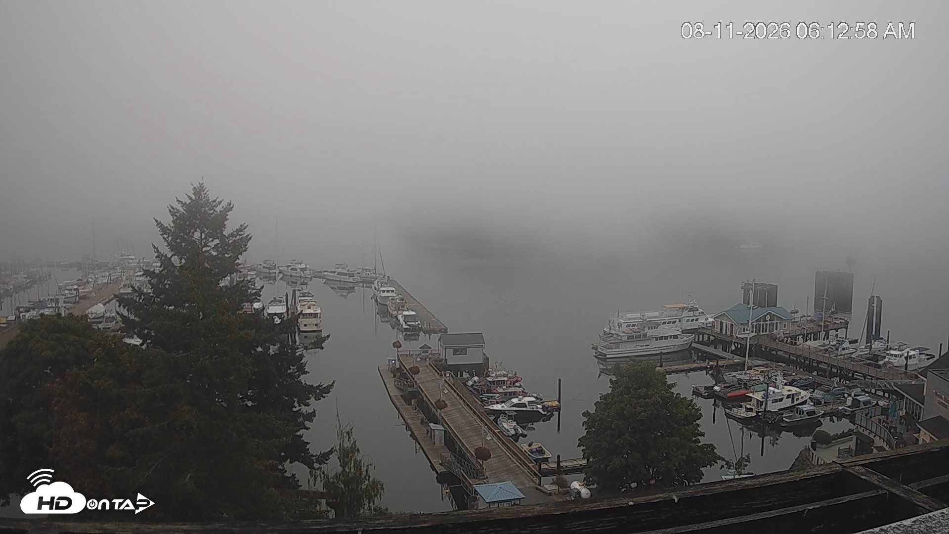 Snapshot of Friday Harbor - San Juan Island Live Webcam taken Aug 11, 2026, 6:13am PDT