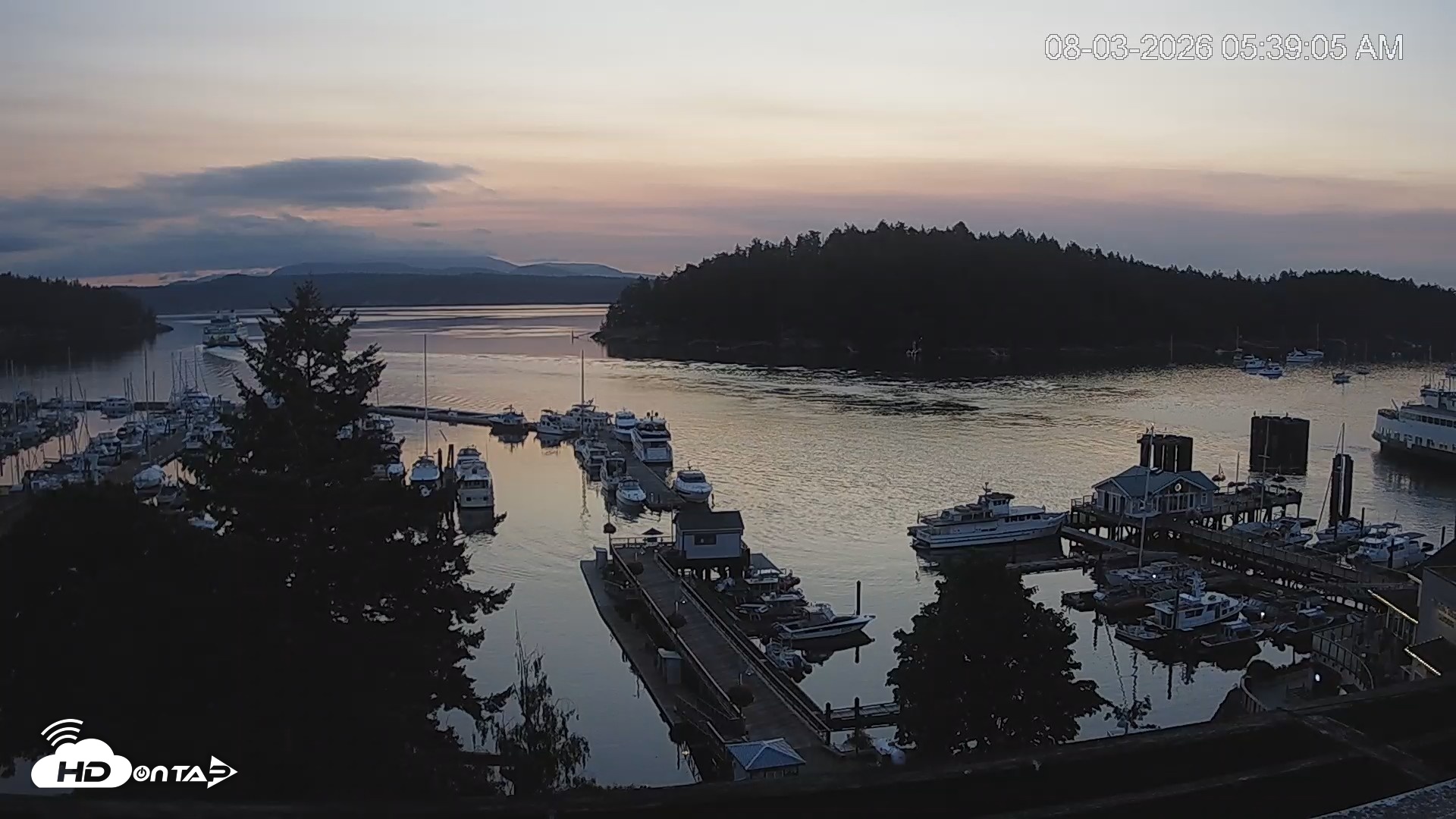 Snapshot of Friday Harbor - San Juan Island Live Webcam taken Aug 3, 2026, 5:39am PDT