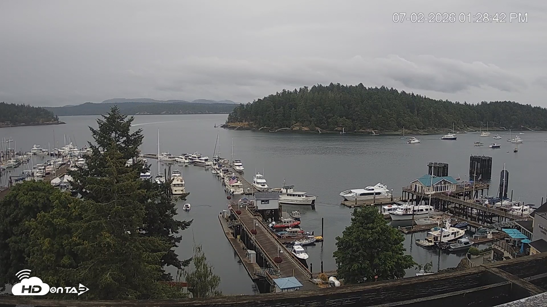 Snapshot of Friday Harbor - San Juan Island Live Webcam taken Jul 2, 2026, 1:29pm PDT