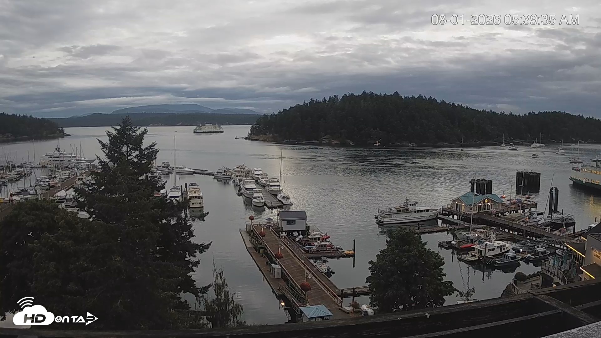 Snapshot of Friday Harbor - San Juan Island Live Webcam taken Aug 1, 2026, 5:40am PDT
