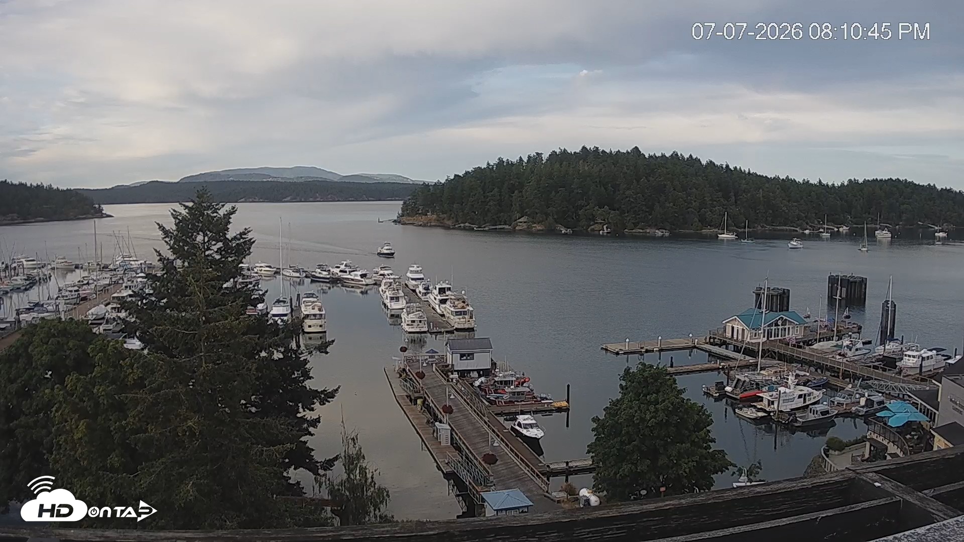 Snapshot of Friday Harbor - San Juan Island Live Webcam taken Jul 7, 2026, 8:11pm PDT