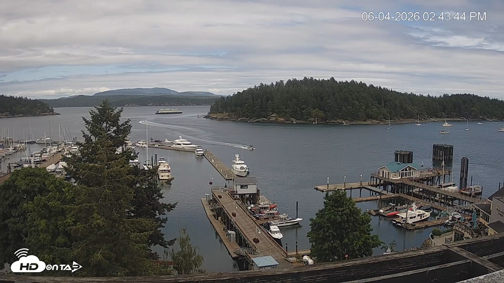 Snapshot of Friday Harbor - San Juan Island Live Webcam taken Jun 4, 2026, 2:44pm PDT