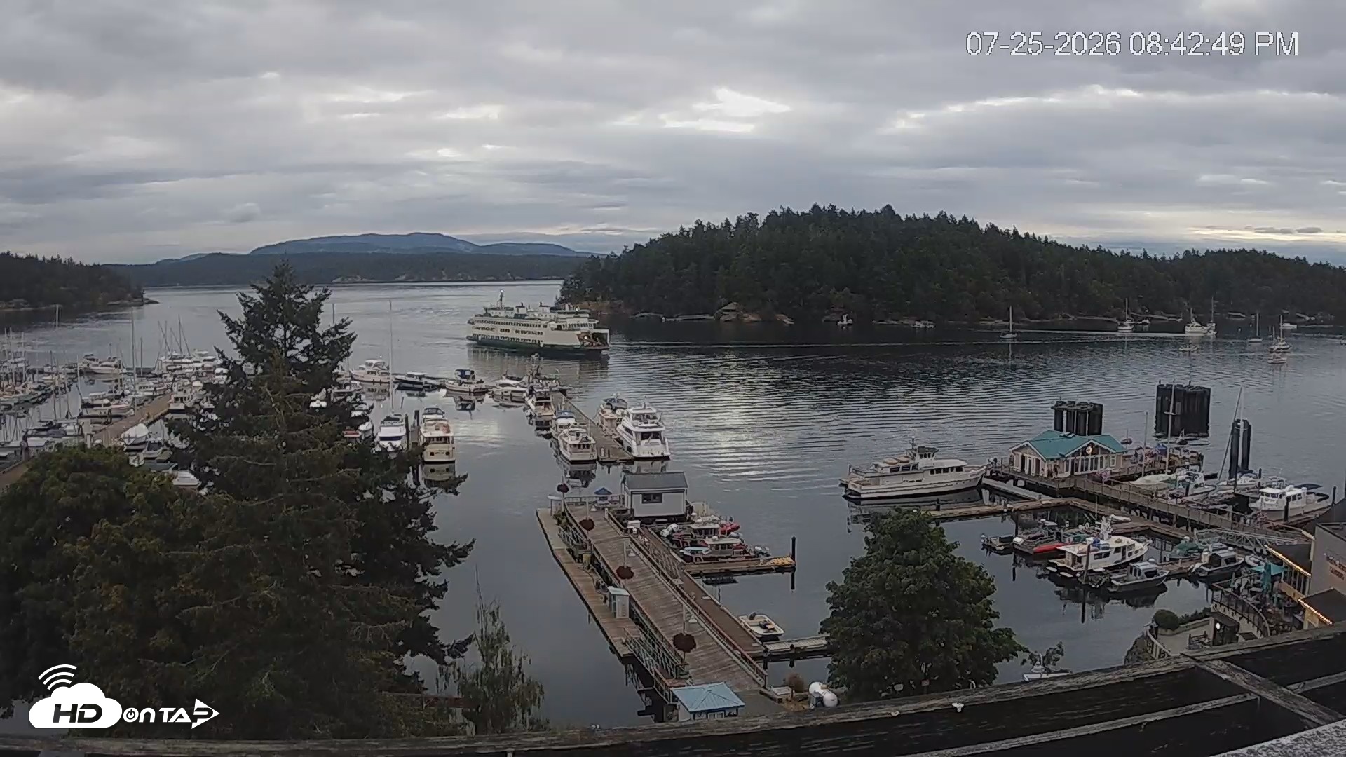 Snapshot of Friday Harbor - San Juan Island Live Webcam taken Jul 25, 2026, 8:43pm PDT
