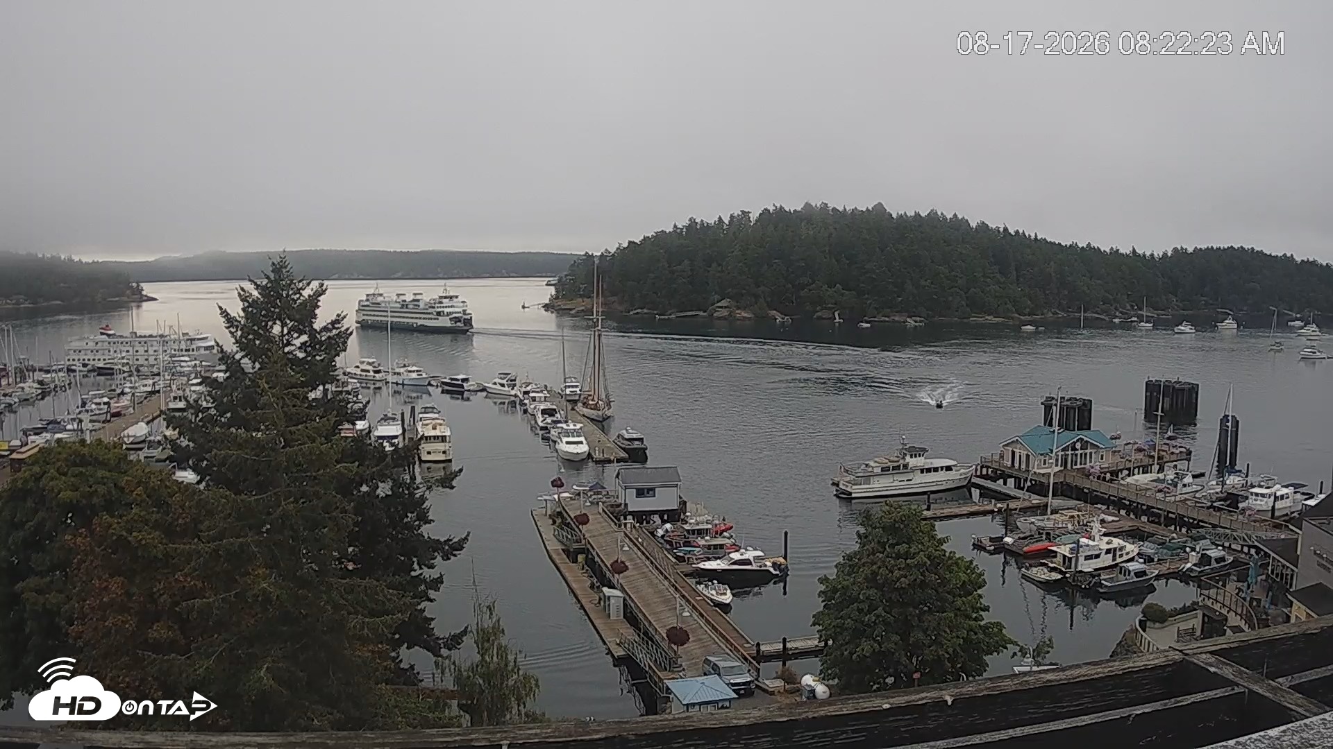 Snapshot of Friday Harbor - San Juan Island Live Webcam taken Aug 17, 2026, 8:23am PDT