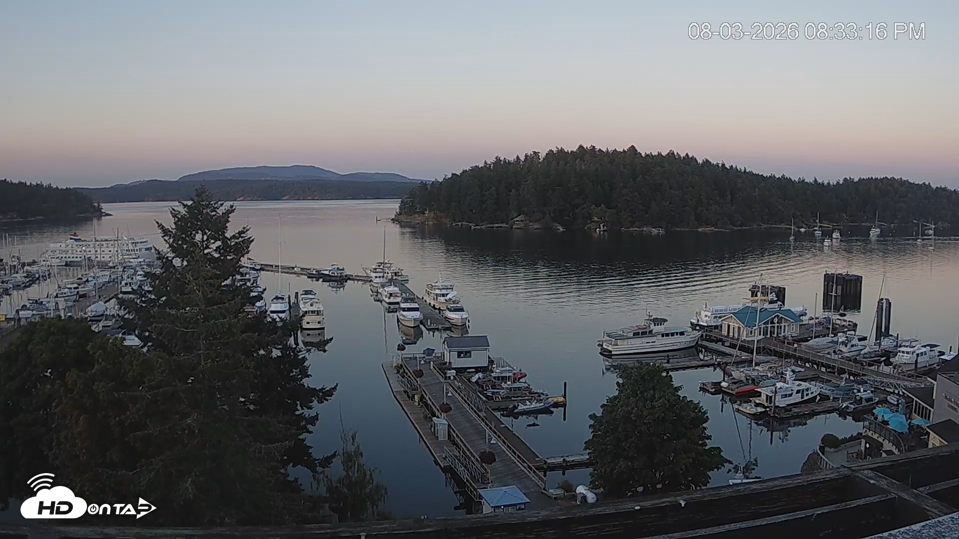 Snapshot of Friday Harbor - San Juan Island Live Webcam taken Aug 3, 2026, 8:34pm PDT