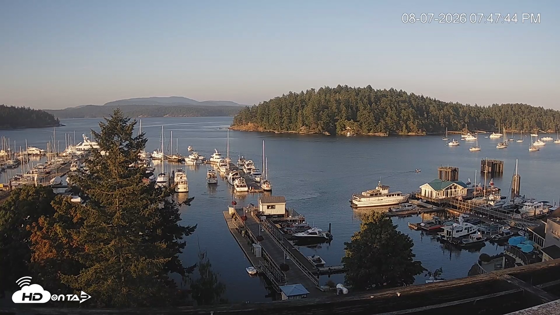Snapshot of Friday Harbor - San Juan Island Live Webcam taken Aug 7, 2026, 7:48pm PDT