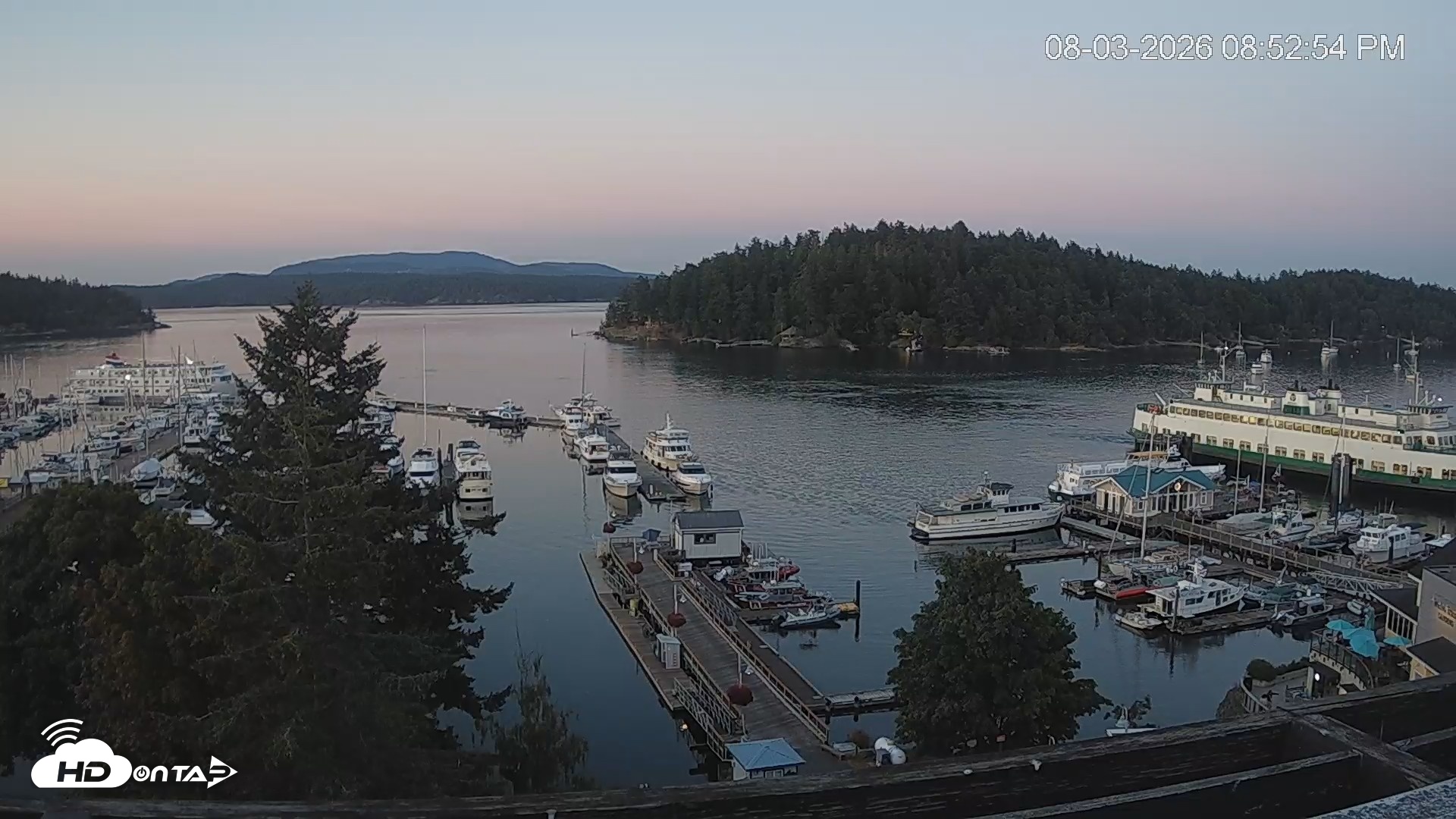 Snapshot of Friday Harbor - San Juan Island Live Webcam taken Aug 3, 2026, 8:54pm PDT