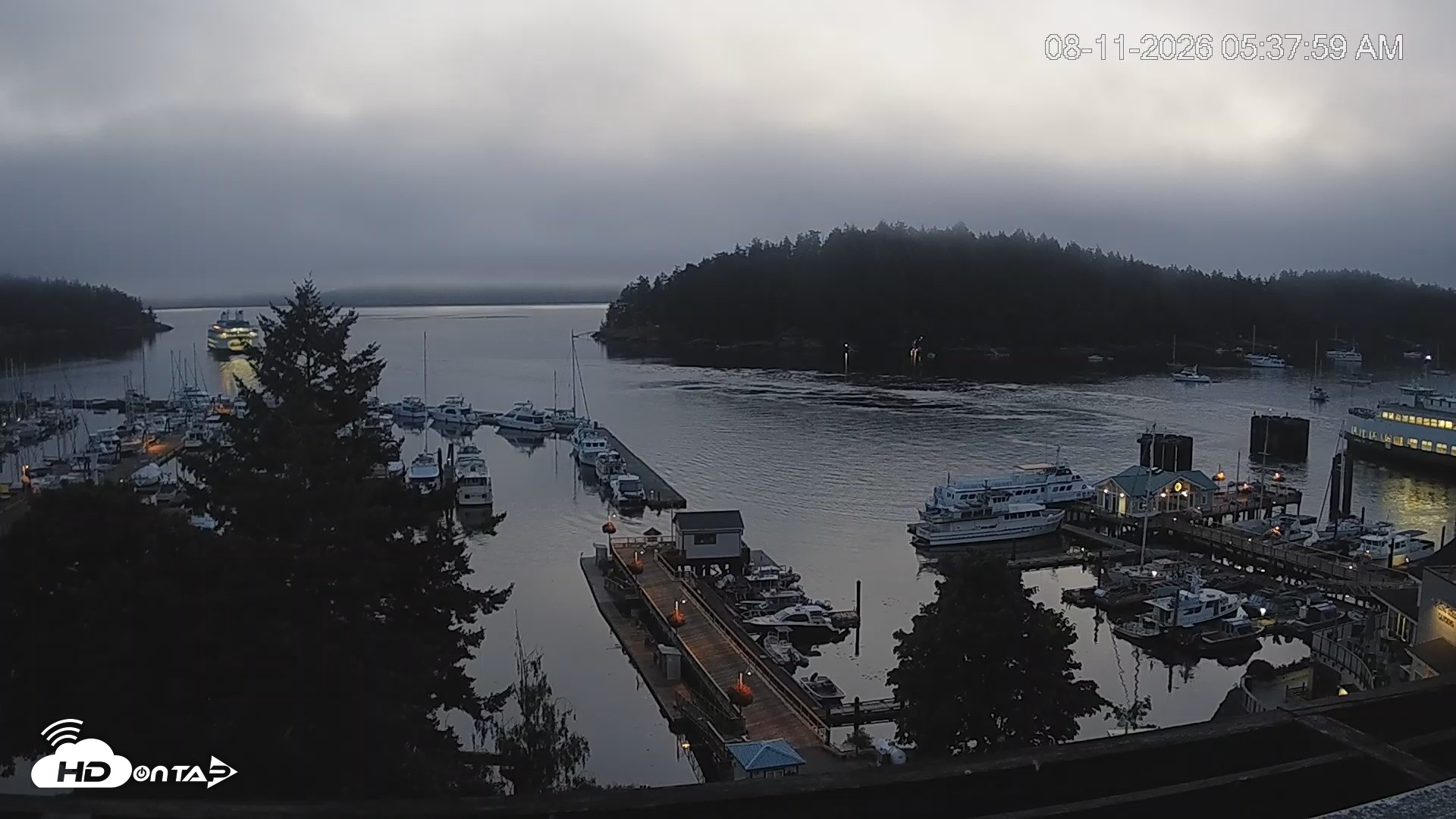 Snapshot of Friday Harbor - San Juan Island Live Webcam taken Aug 11, 2026, 5:38am PDT