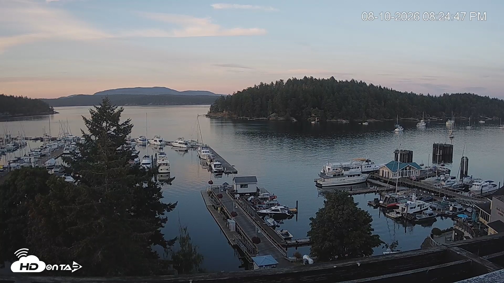 Snapshot of Friday Harbor - San Juan Island Live Webcam taken Aug 10, 2026, 8:25pm PDT