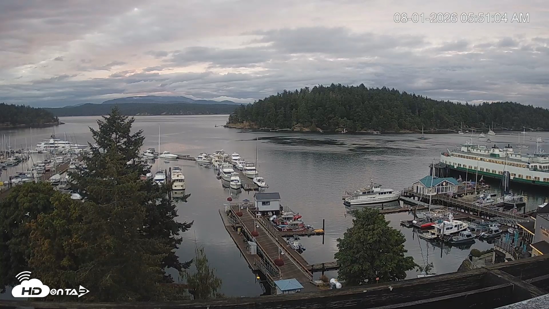 Snapshot of Friday Harbor - San Juan Island Live Webcam taken Aug 1, 2026, 5:52am PDT