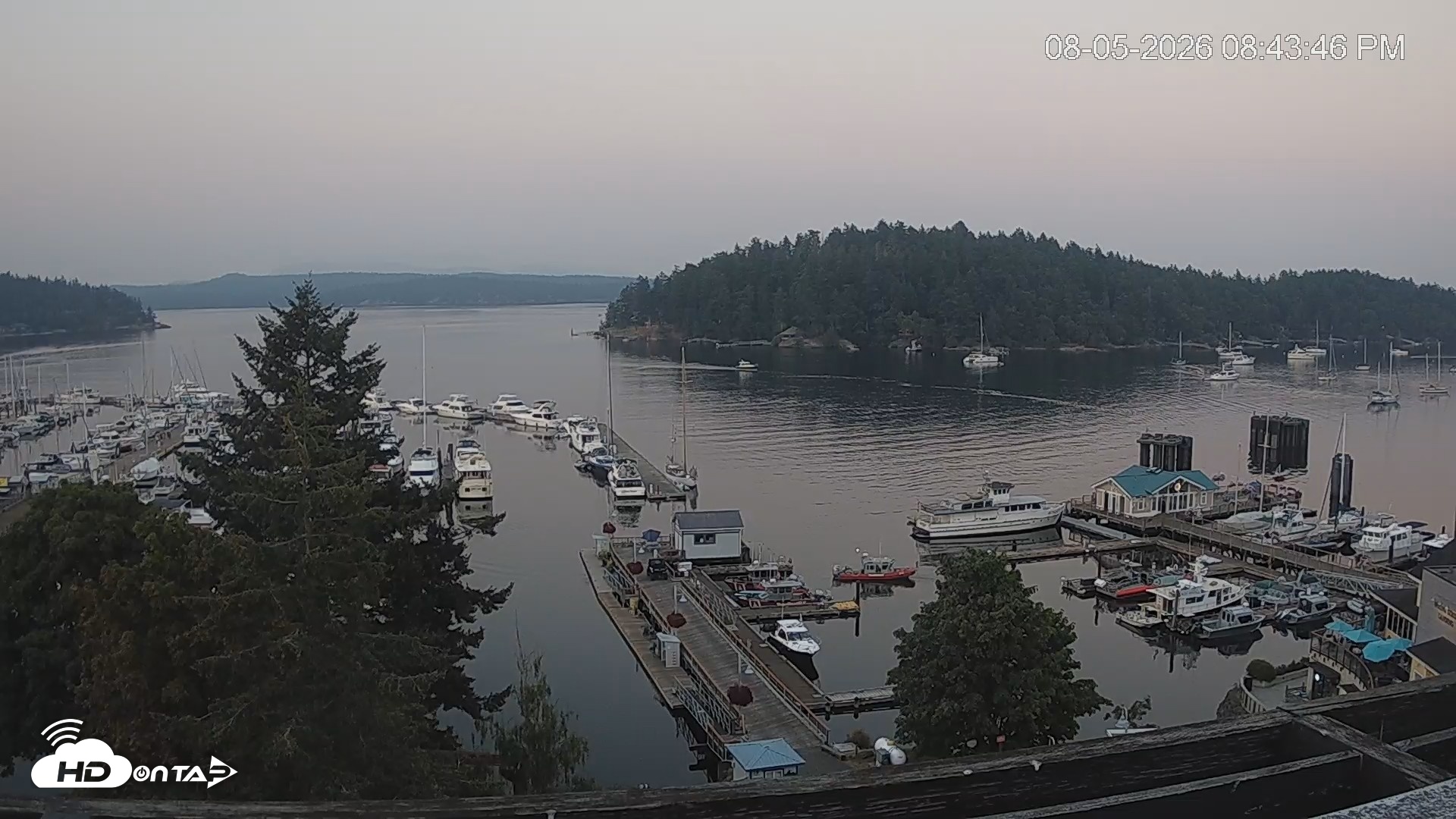 Snapshot of Friday Harbor - San Juan Island Live Webcam taken Aug 5, 2026, 8:44pm PDT