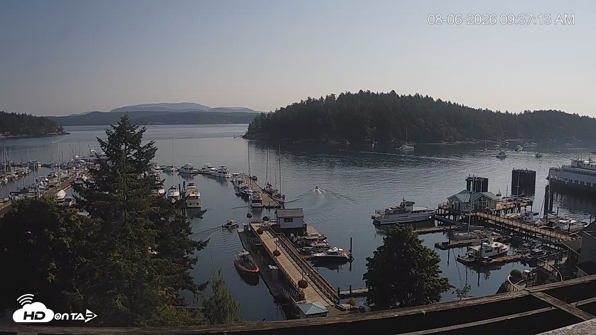 Snapshot of Friday Harbor - San Juan Island Live Webcam taken Aug 6, 2026, 9:38am PDT