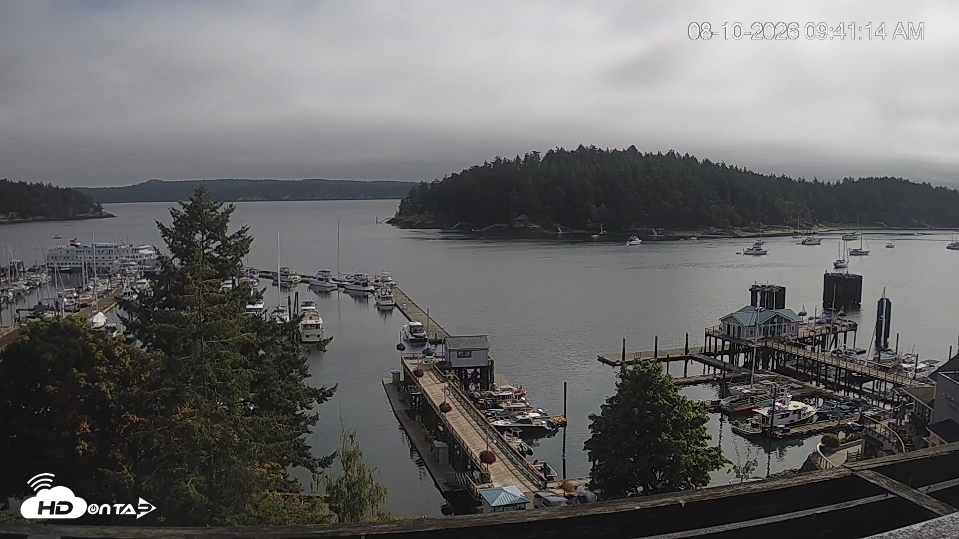 Snapshot of Friday Harbor - San Juan Island Live Webcam taken Aug 10, 2026, 9:41am PDT