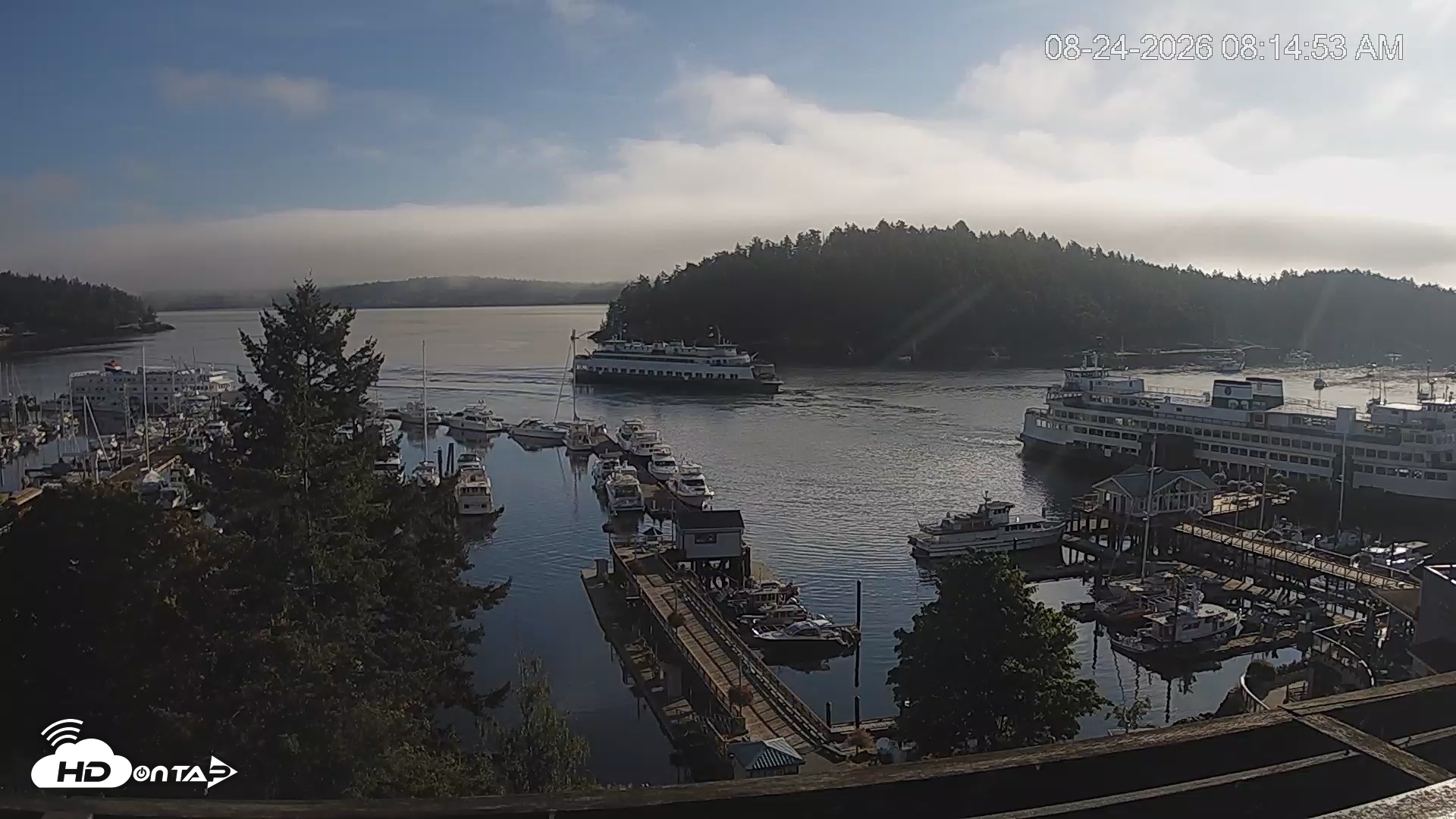 Snapshot of Friday Harbor - San Juan Island Live Webcam taken Aug 24, 2026, 8:15am PDT