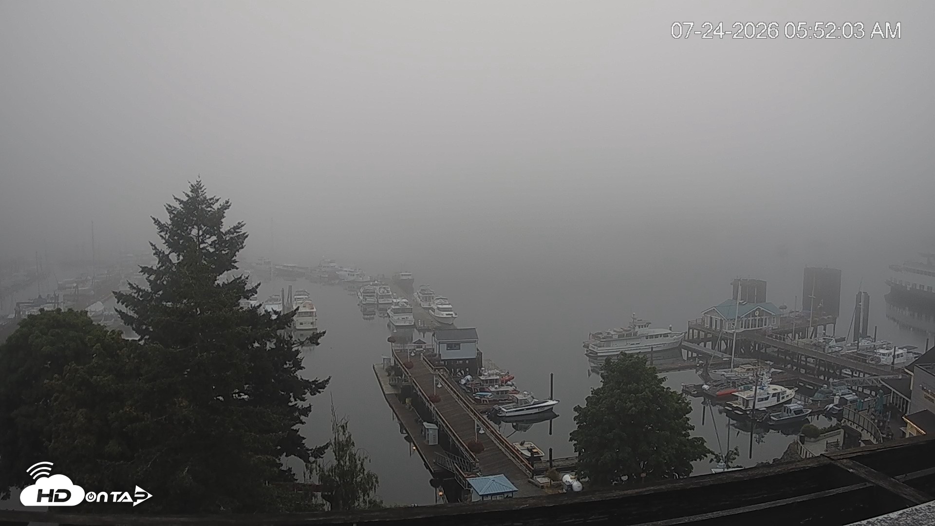 Snapshot of Friday Harbor - San Juan Island Live Webcam taken Jul 24, 2026, 5:53am PDT