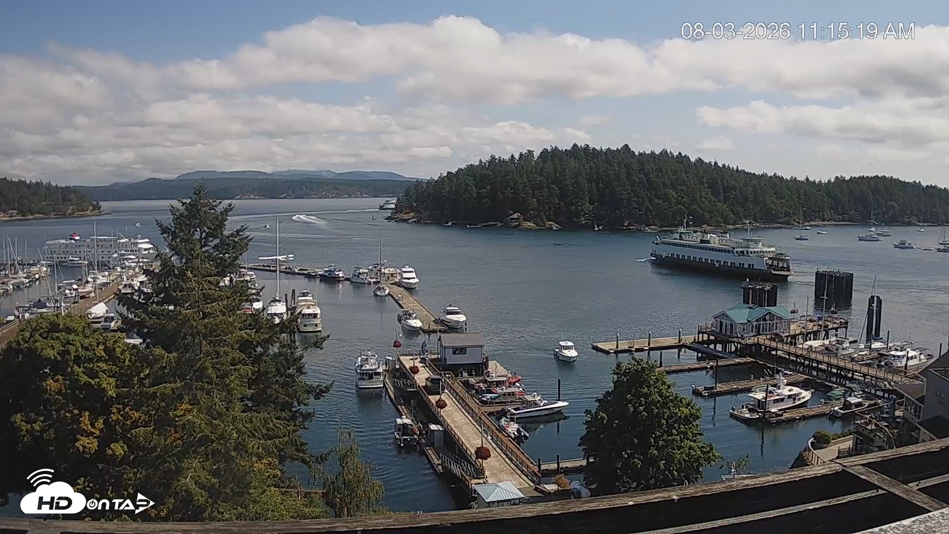 Snapshot of Friday Harbor - San Juan Island Live Webcam taken Aug 3, 2026, 11:16am PDT