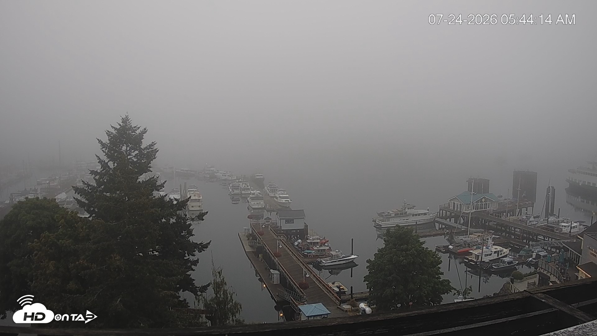 Snapshot of Friday Harbor - San Juan Island Live Webcam taken Jul 24, 2026, 5:45am PDT