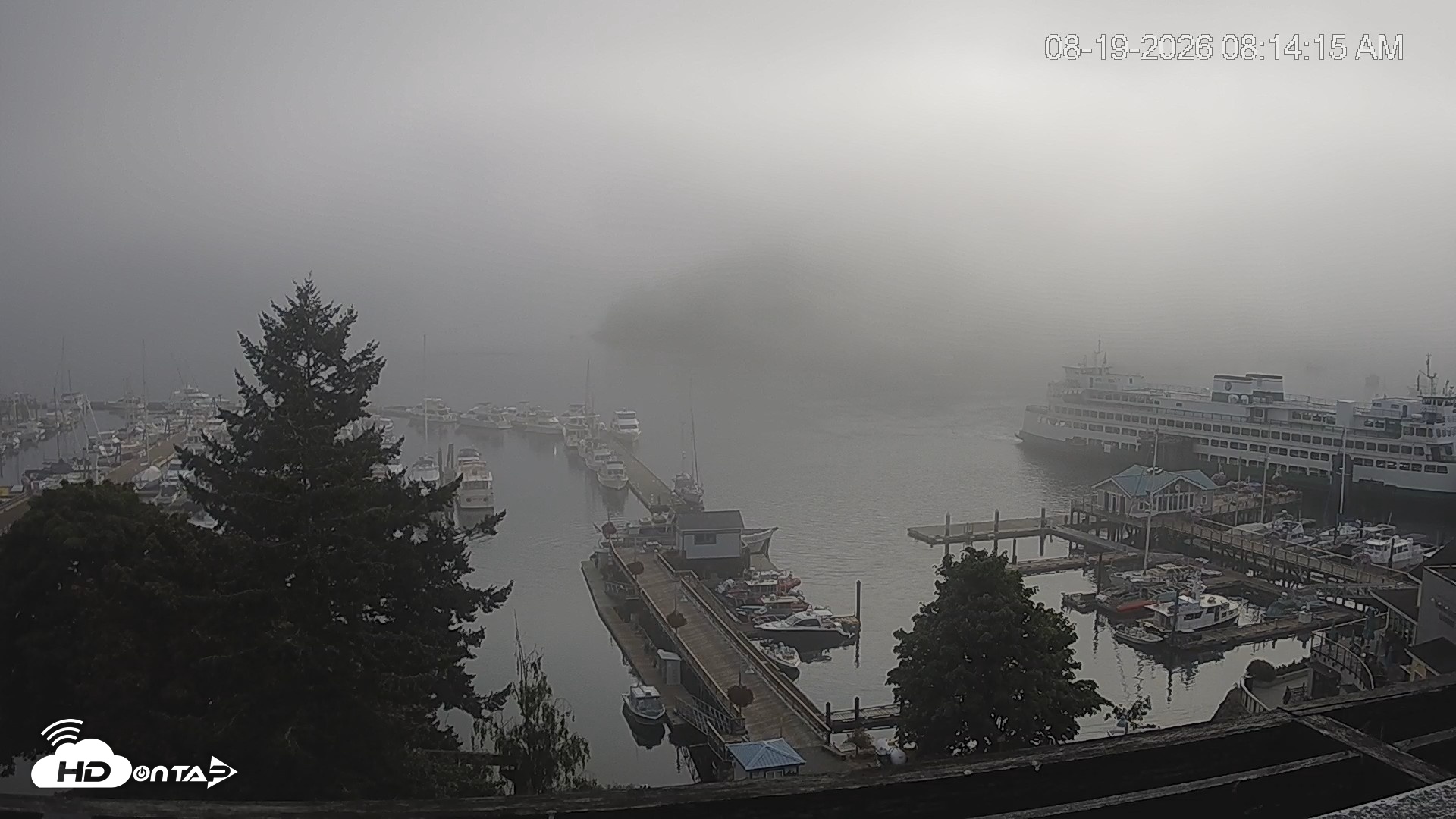 Snapshot of Friday Harbor - San Juan Island Live Webcam taken Aug 19, 2026, 8:15am PDT