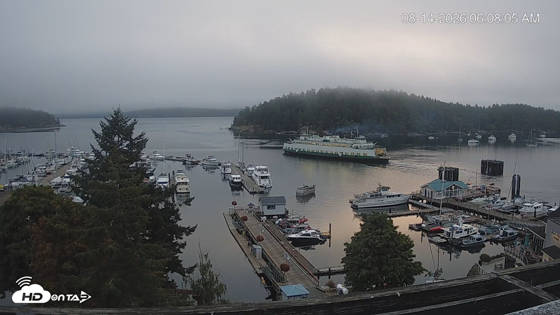 Snapshot of Friday Harbor - San Juan Island Live Webcam taken Aug 14, 2026, 6:08am PDT