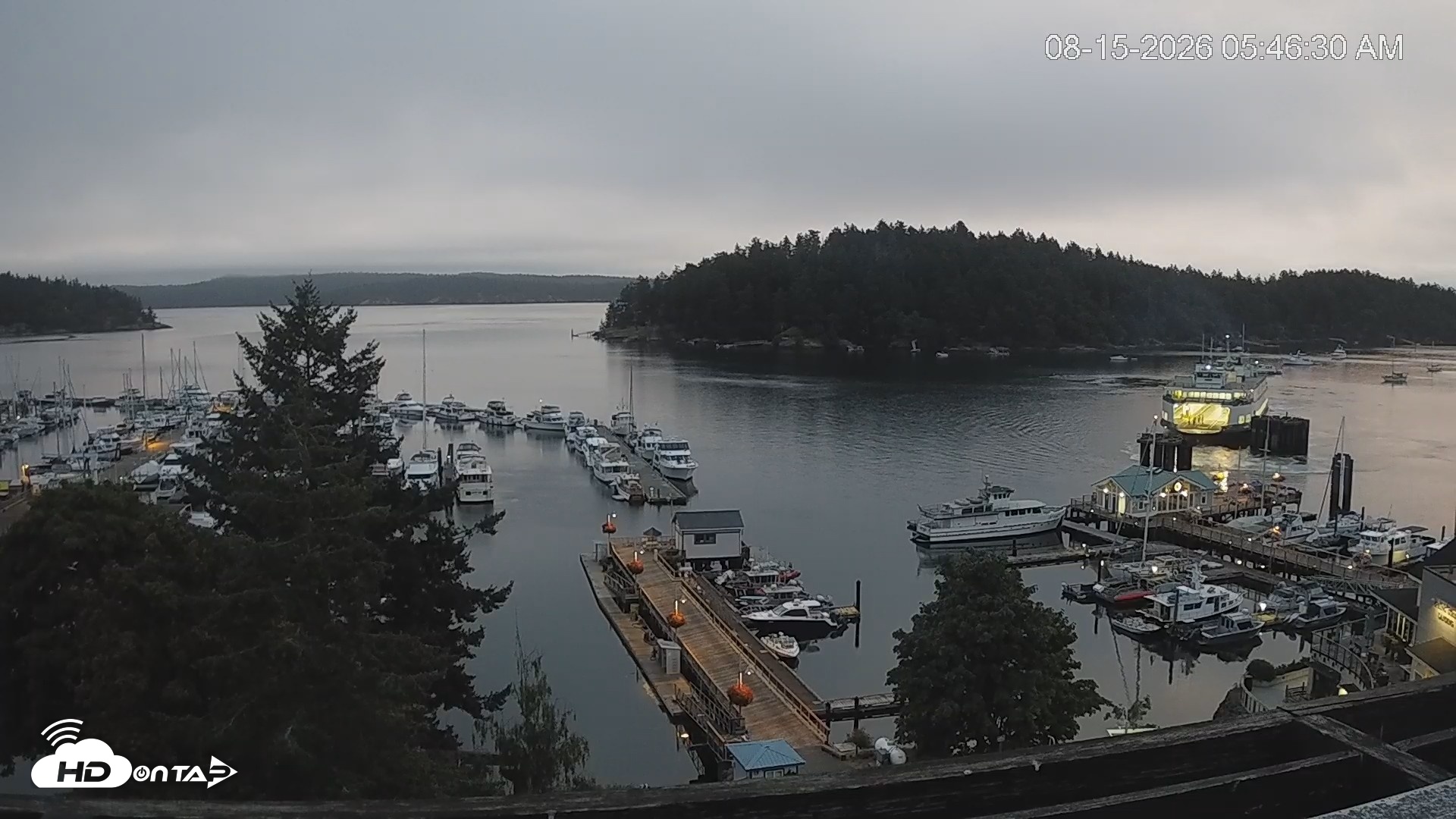 Snapshot of Friday Harbor - San Juan Island Live Webcam taken Aug 15, 2026, 5:47am PDT