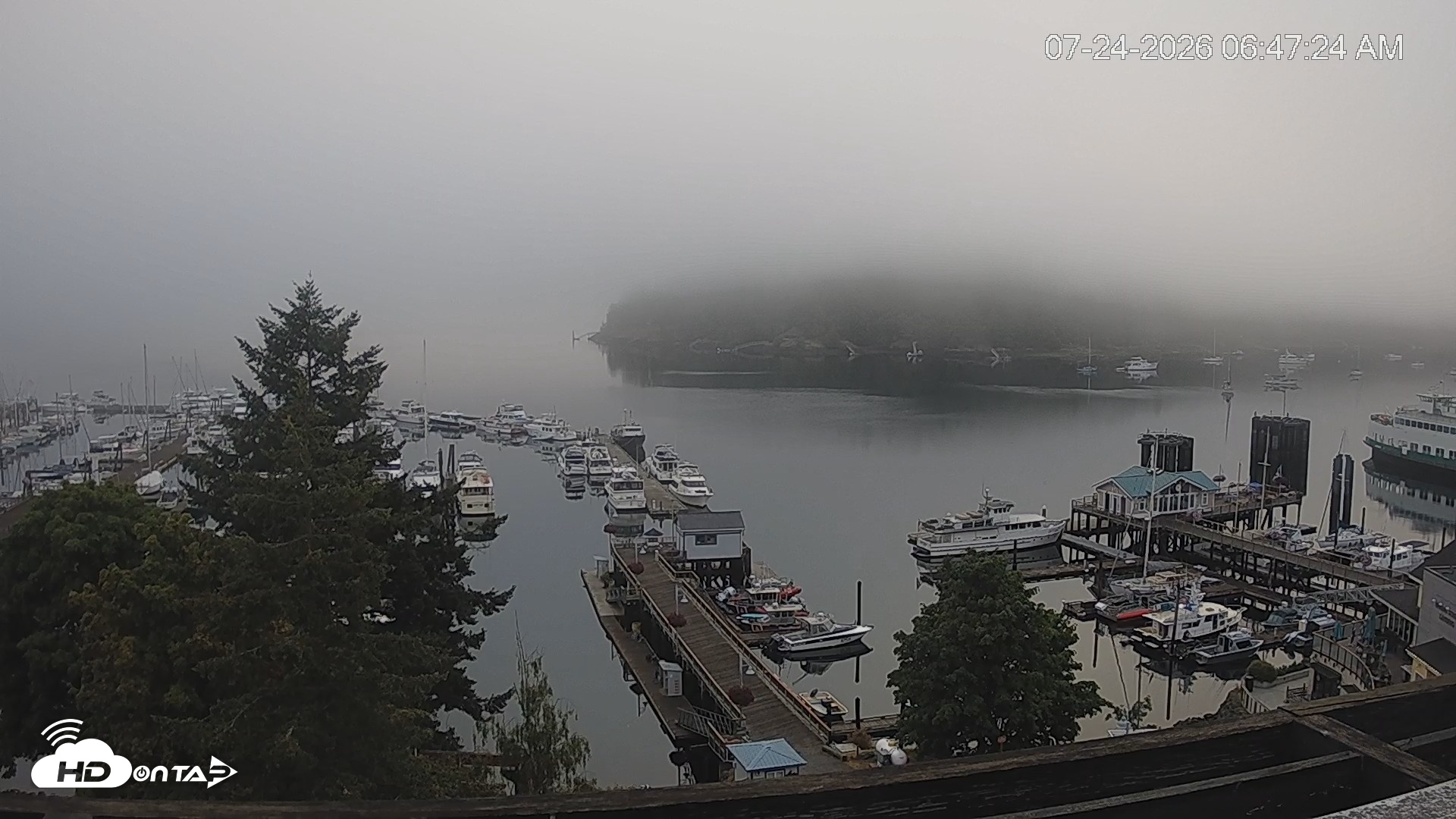 Snapshot of Friday Harbor - San Juan Island Live Webcam taken Jul 24, 2026, 6:48am PDT