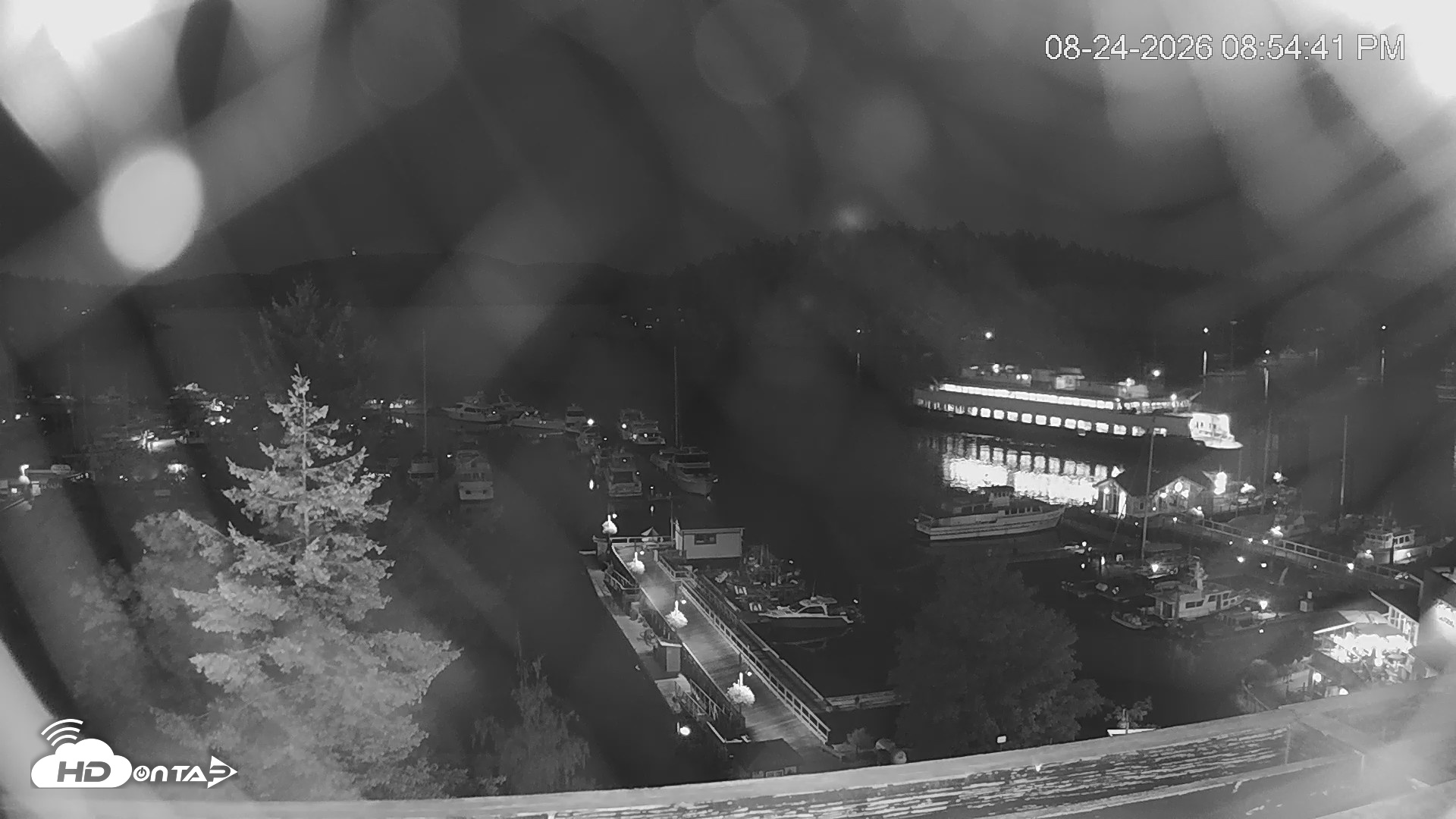 Snapshot of Friday Harbor - San Juan Island Live Webcam taken Aug 24, 2026, 8:55pm PDT