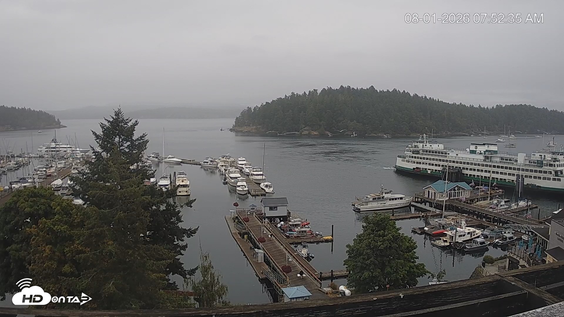 Snapshot of Friday Harbor - San Juan Island Live Webcam taken Aug 1, 2026, 7:53am PDT