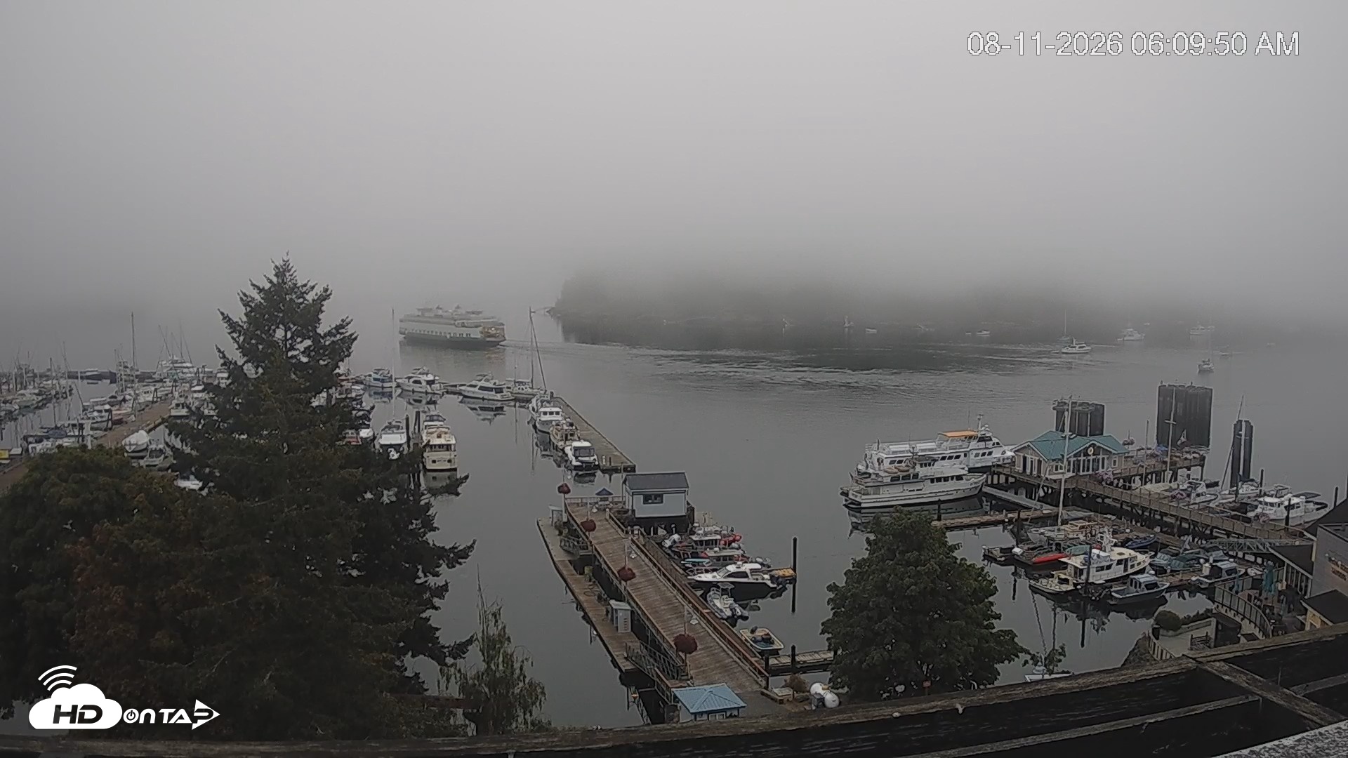 Snapshot of Friday Harbor - San Juan Island Live Webcam taken Aug 11, 2026, 6:10am PDT