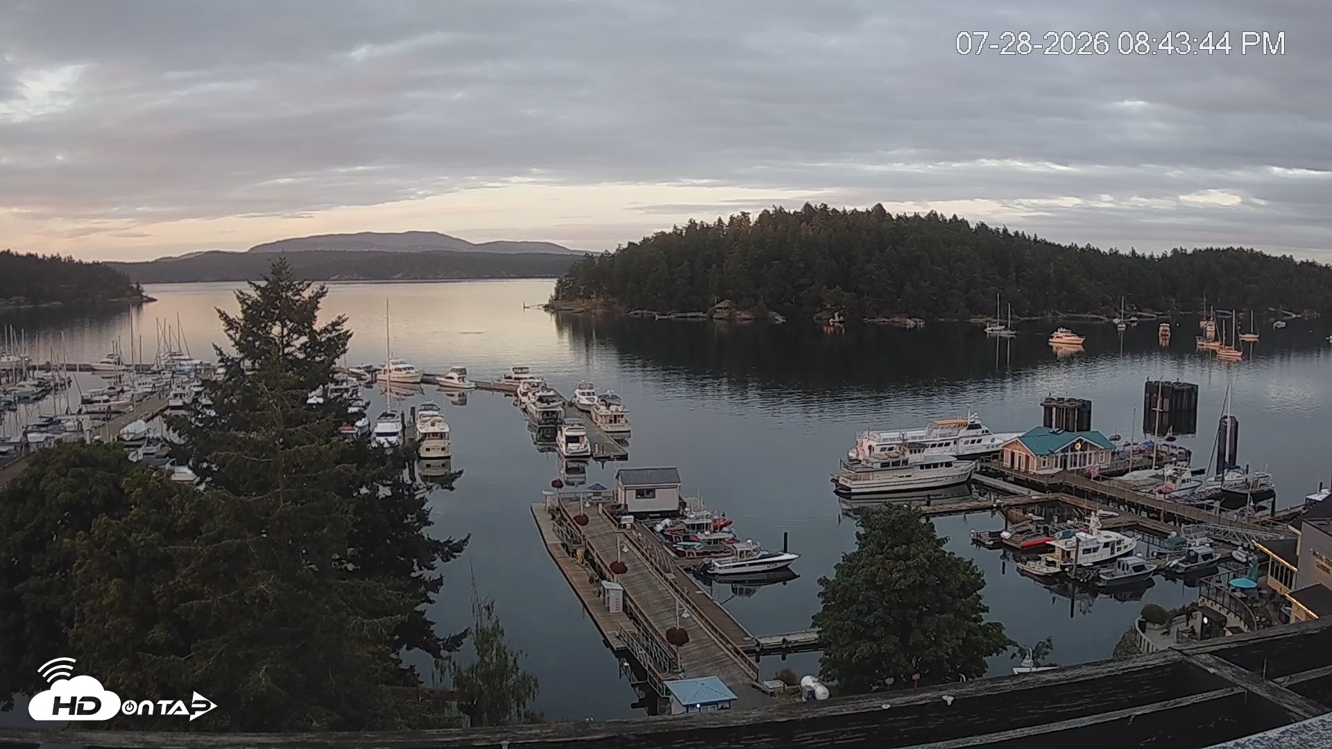Snapshot of Friday Harbor - San Juan Island Live Webcam taken Jul 28, 2026, 8:44pm PDT