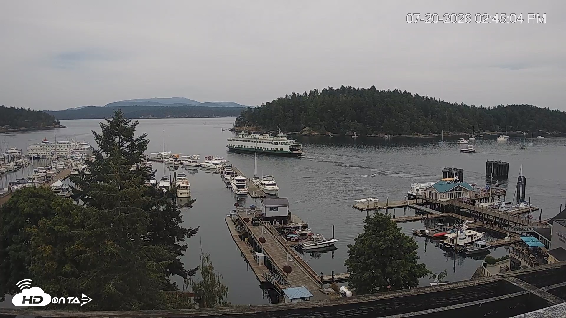 Snapshot of Friday Harbor - San Juan Island Live Webcam taken Jul 20, 2026, 2:45pm PDT