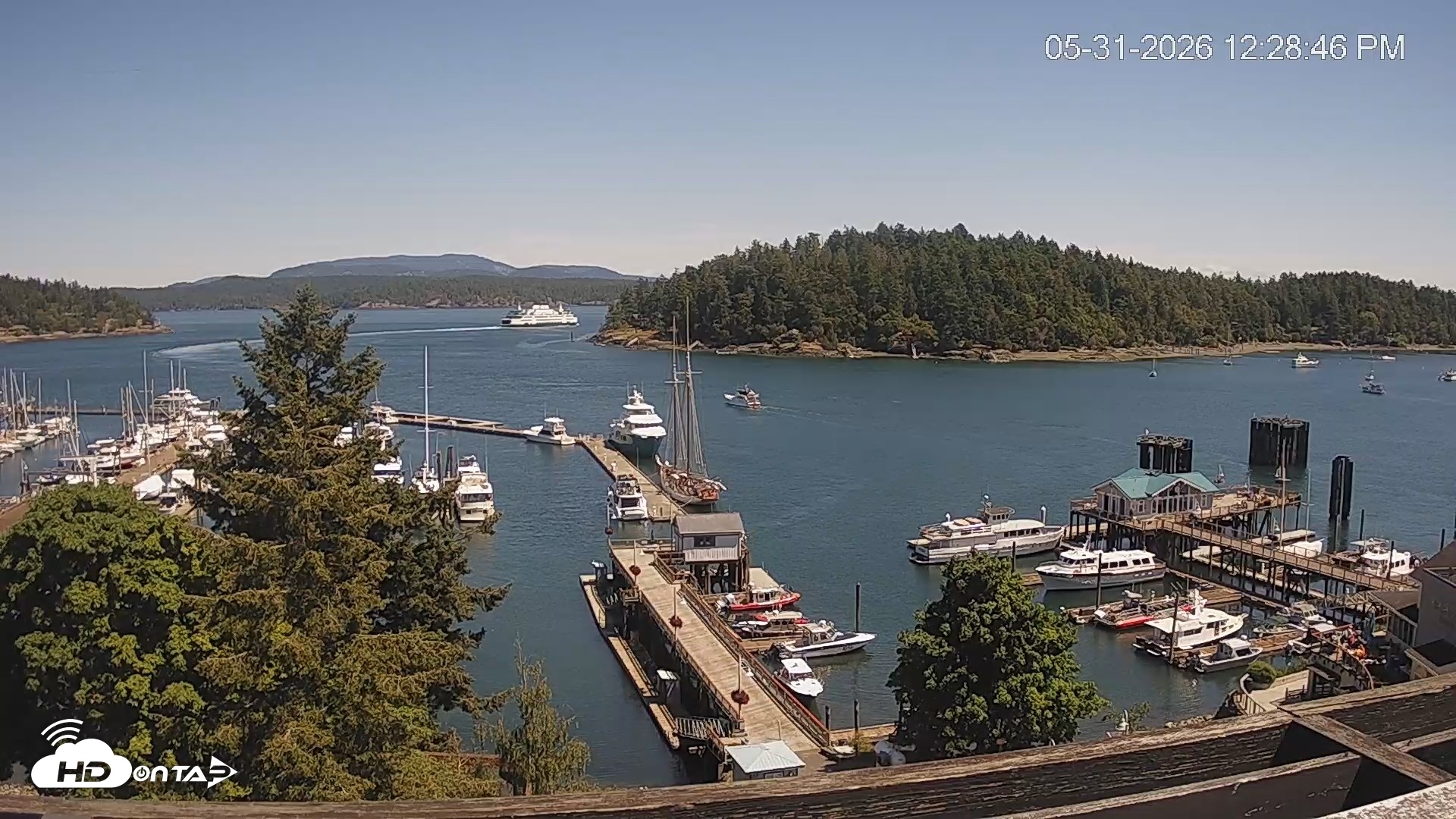 Snapshot of Friday Harbor - San Juan Island Live Webcam taken May 31, 2026, 12:29pm PDT