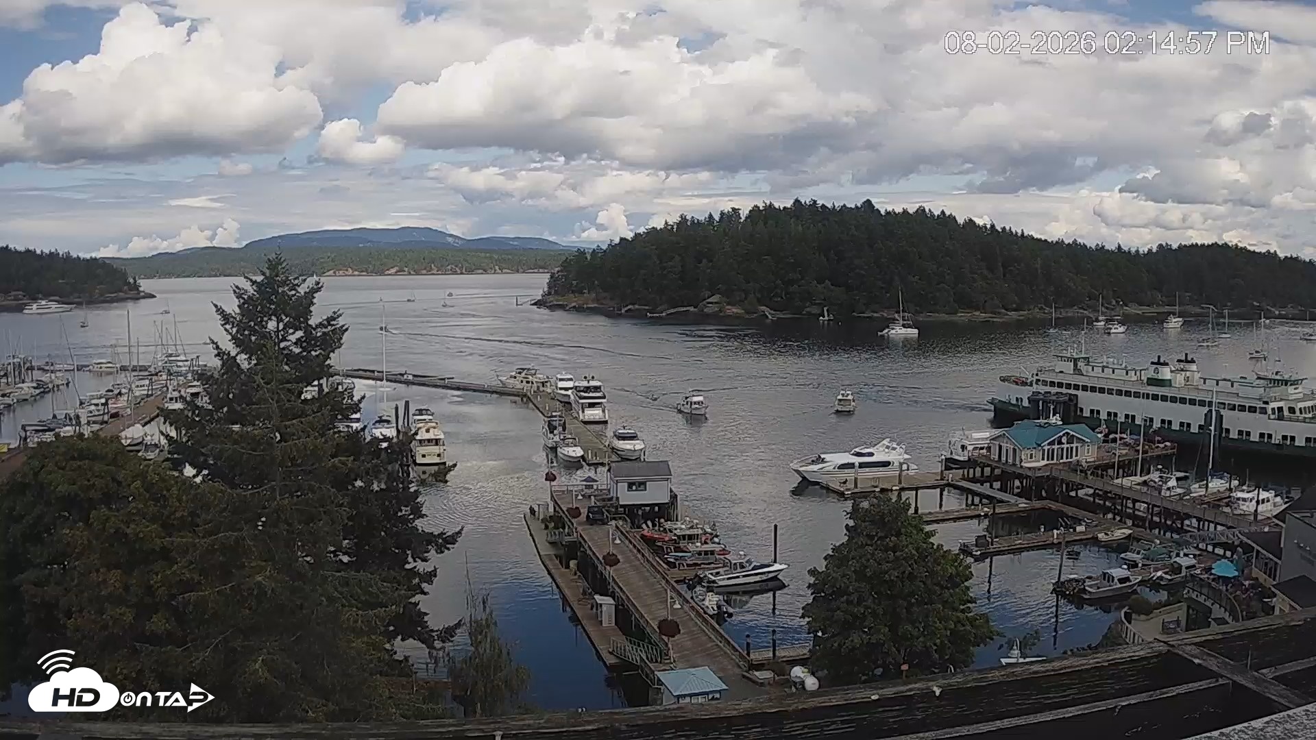 Snapshot of Friday Harbor - San Juan Island Live Webcam taken Aug 2, 2026, 2:15pm PDT