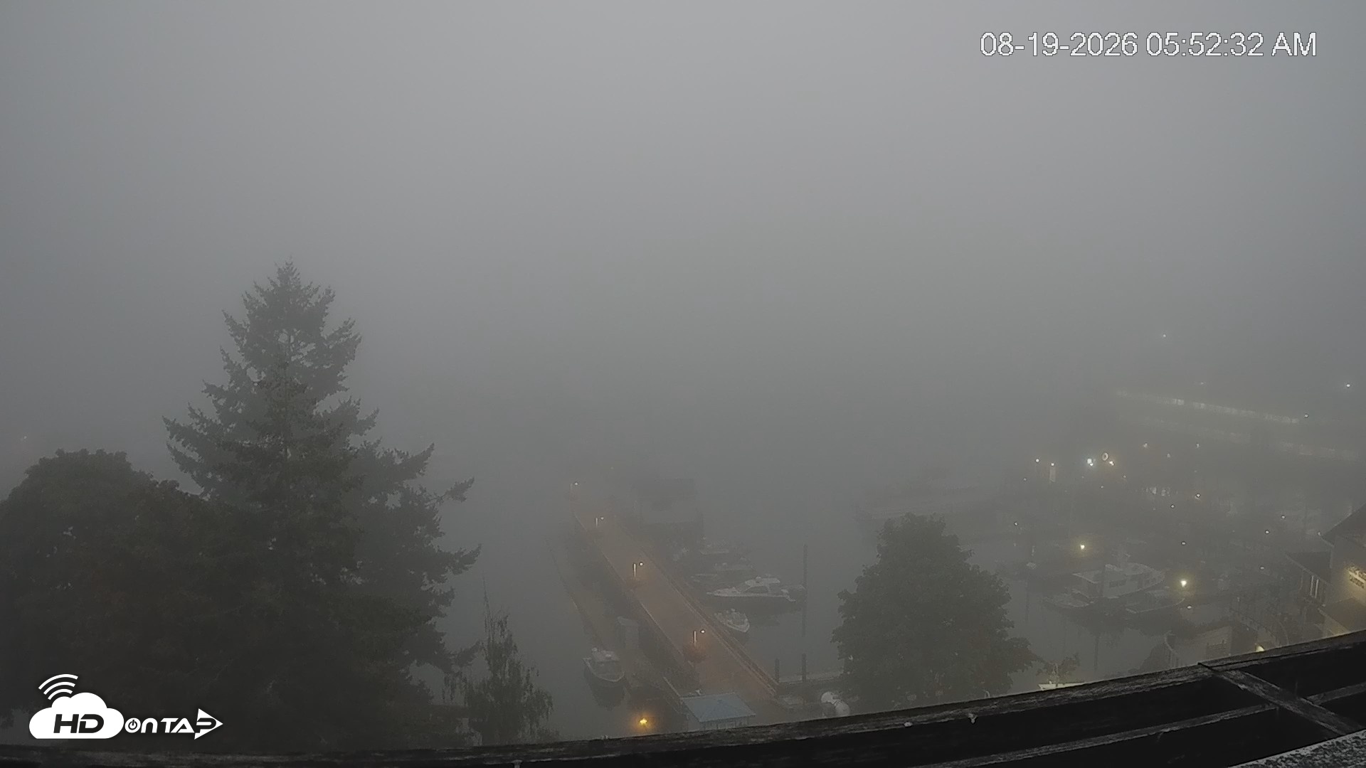 Snapshot of Friday Harbor - San Juan Island Live Webcam taken Aug 19, 2026, 5:53am PDT