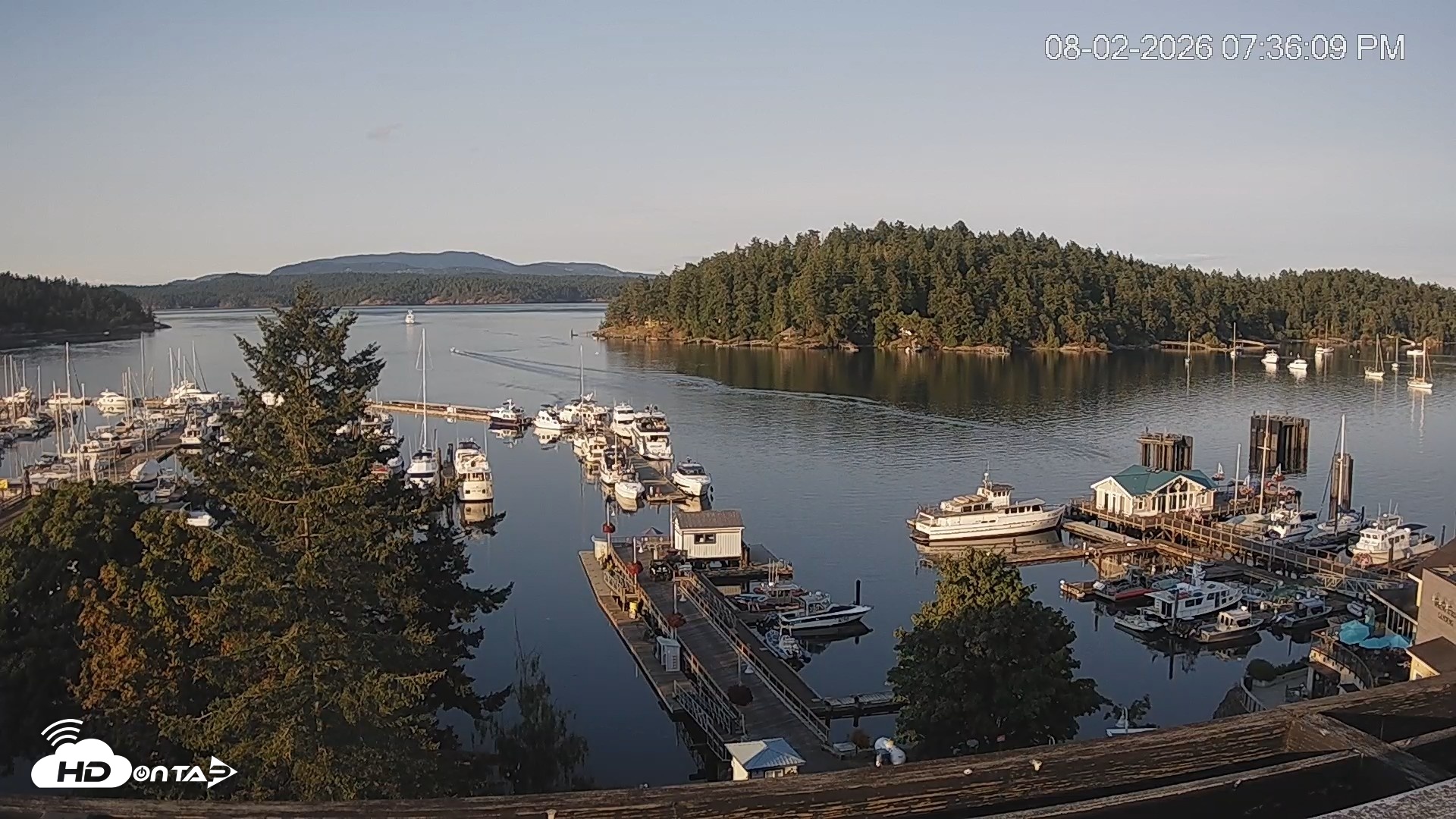 Snapshot of Friday Harbor - San Juan Island Live Webcam taken Aug 2, 2026, 7:37pm PDT